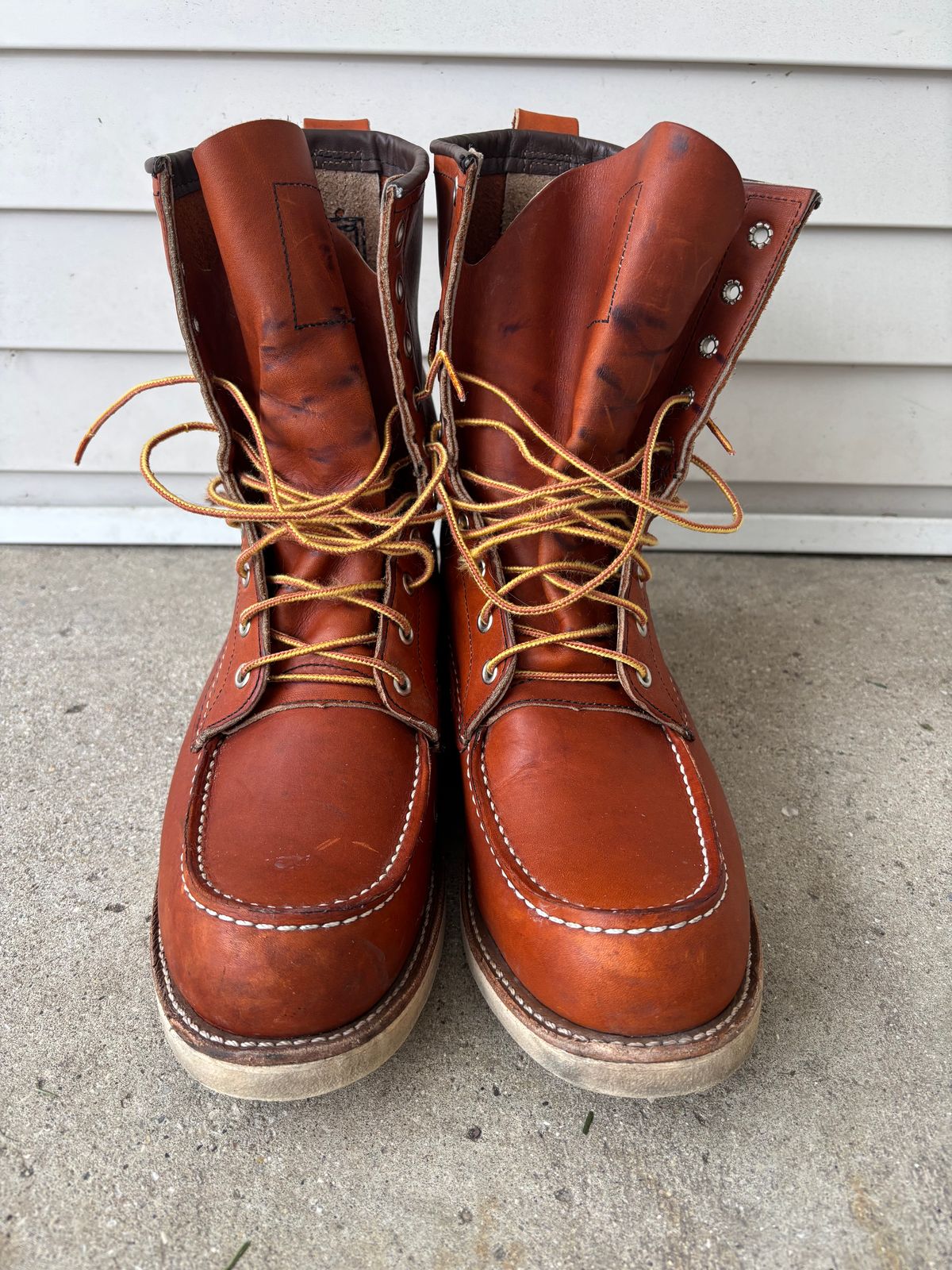 Photo by DiscoBiscuits on January 4, 2025 of the Red Wing 8-Inch Classic Moc in S.B. Foot Oro Legacy.