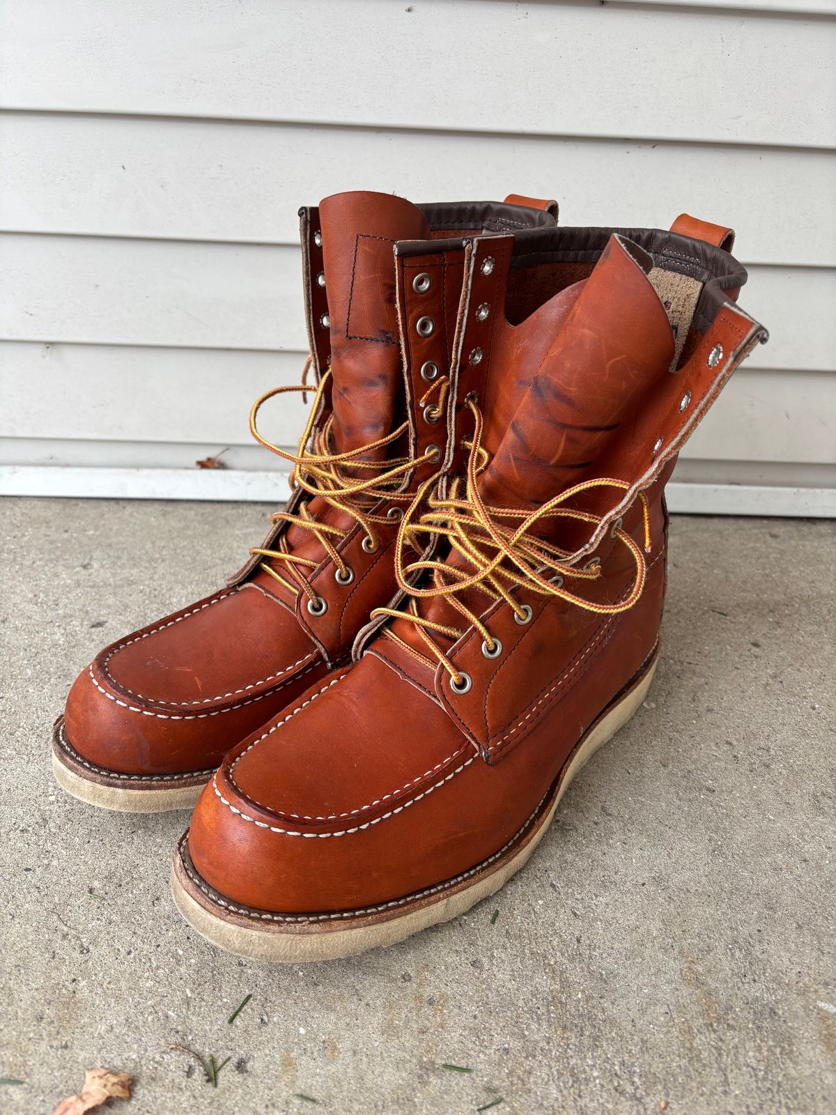 Photo by DiscoBiscuits on January 4, 2025 of the Red Wing 8-Inch Classic Moc in S.B. Foot Oro Legacy.