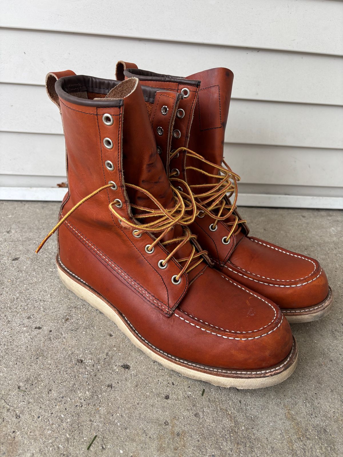 Photo by DiscoBiscuits on January 4, 2025 of the Red Wing 8-Inch Classic Moc in S.B. Foot Oro Legacy.