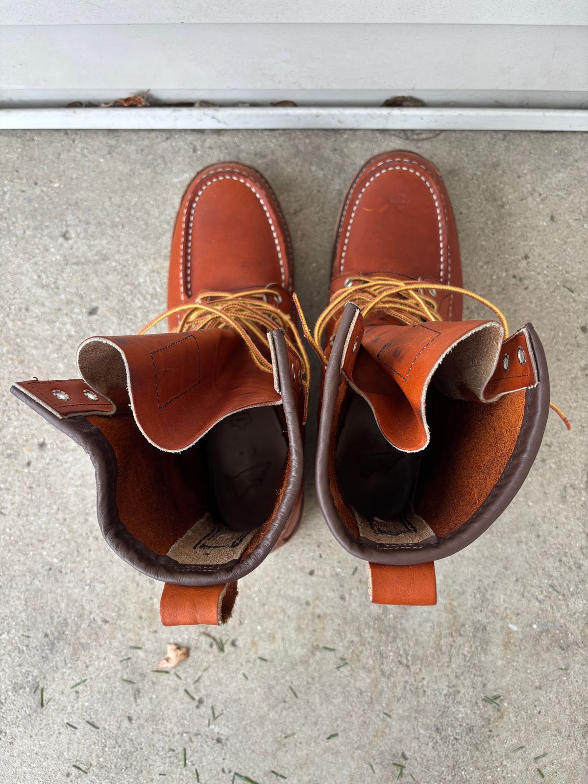 Photo by DiscoBiscuits on January 4, 2025 of the Red Wing 8-Inch Classic Moc in S.B. Foot Oro Legacy.