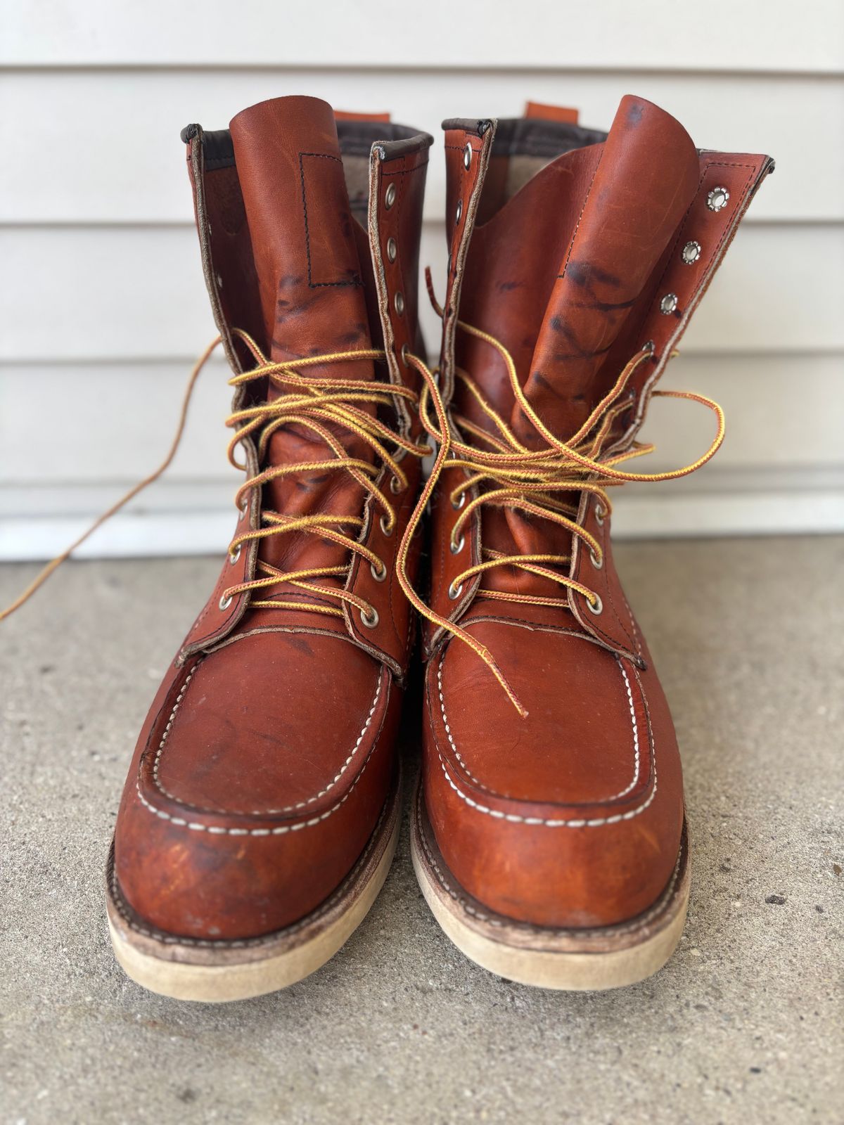 Photo by DiscoBiscuits on February 1, 2025 of the Red Wing 8-Inch Classic Moc in S.B. Foot Oro Legacy.