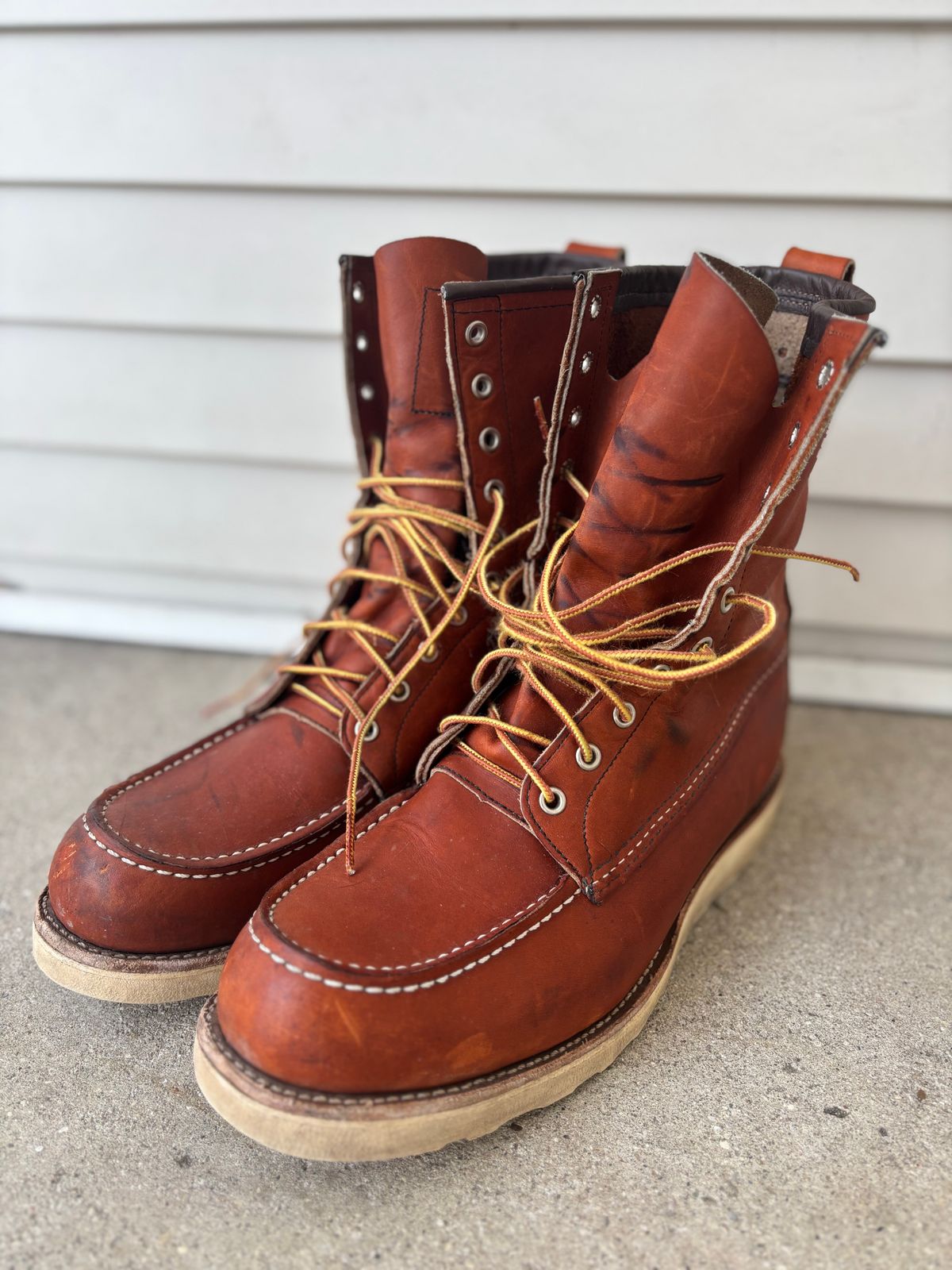 Photo by DiscoBiscuits on February 1, 2025 of the Red Wing 8-Inch Classic Moc in S.B. Foot Oro Legacy.