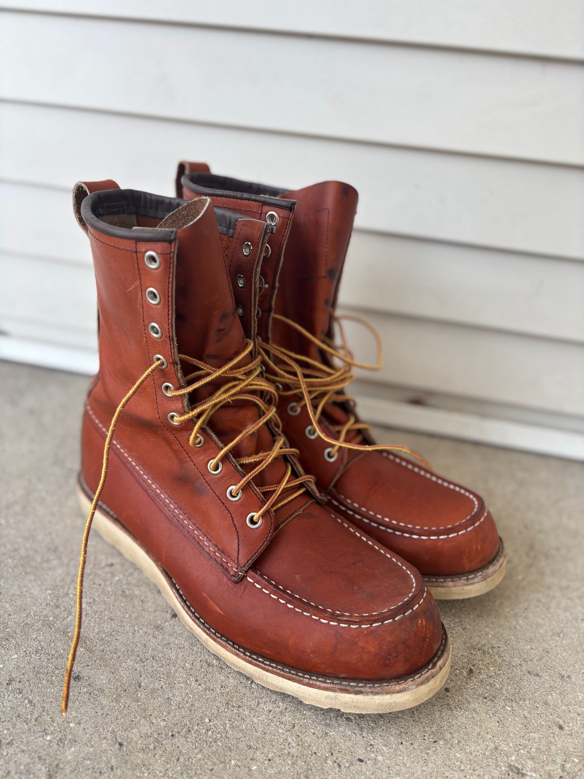 Photo by DiscoBiscuits on February 1, 2025 of the Red Wing 8-Inch Classic Moc in S.B. Foot Oro Legacy.