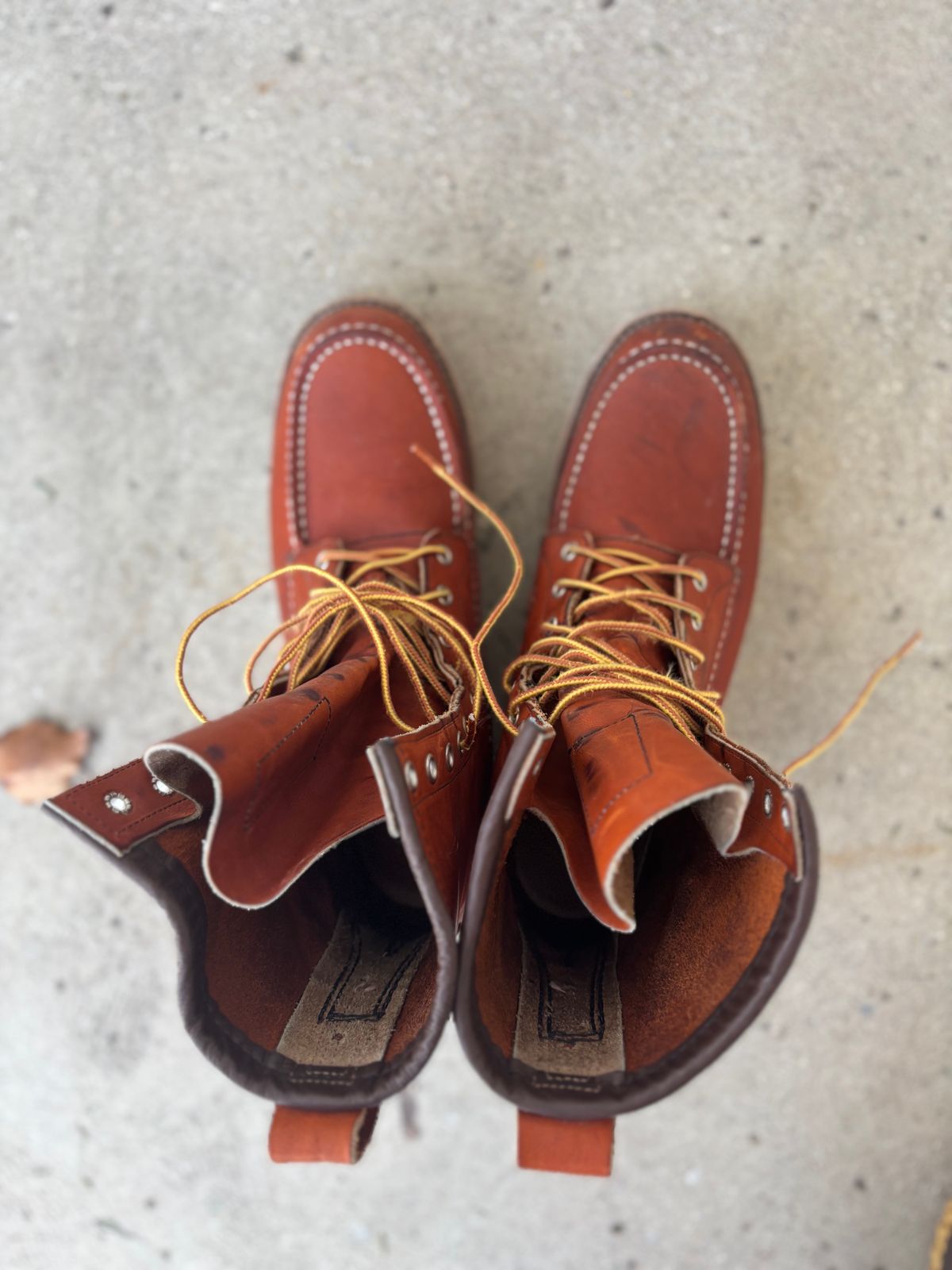 Photo by DiscoBiscuits on February 1, 2025 of the Red Wing 8-Inch Classic Moc in S.B. Foot Oro Legacy.