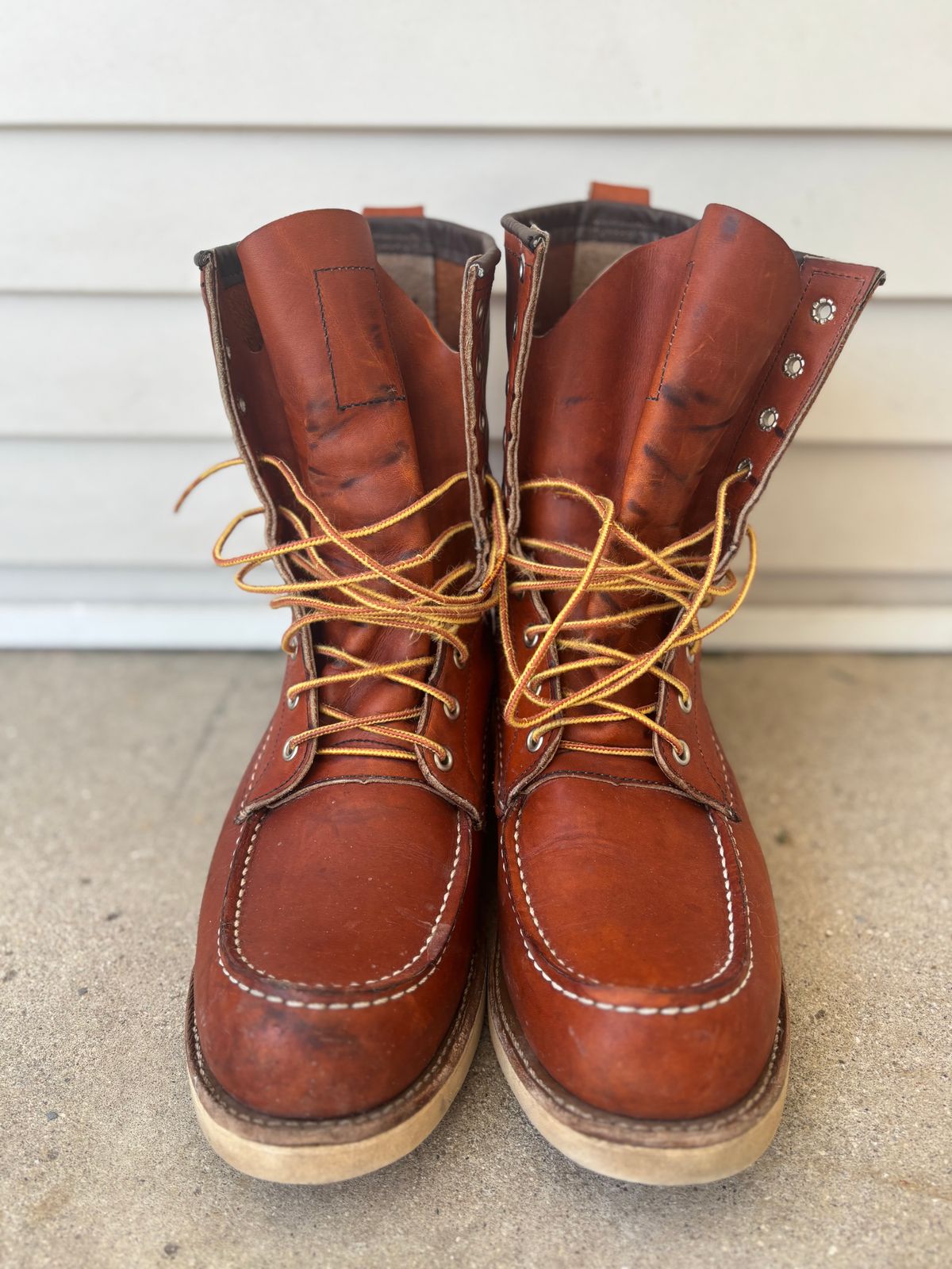 Photo by DiscoBiscuits on March 3, 2025 of the Red Wing 8-Inch Classic Moc in S.B. Foot Oro Legacy.