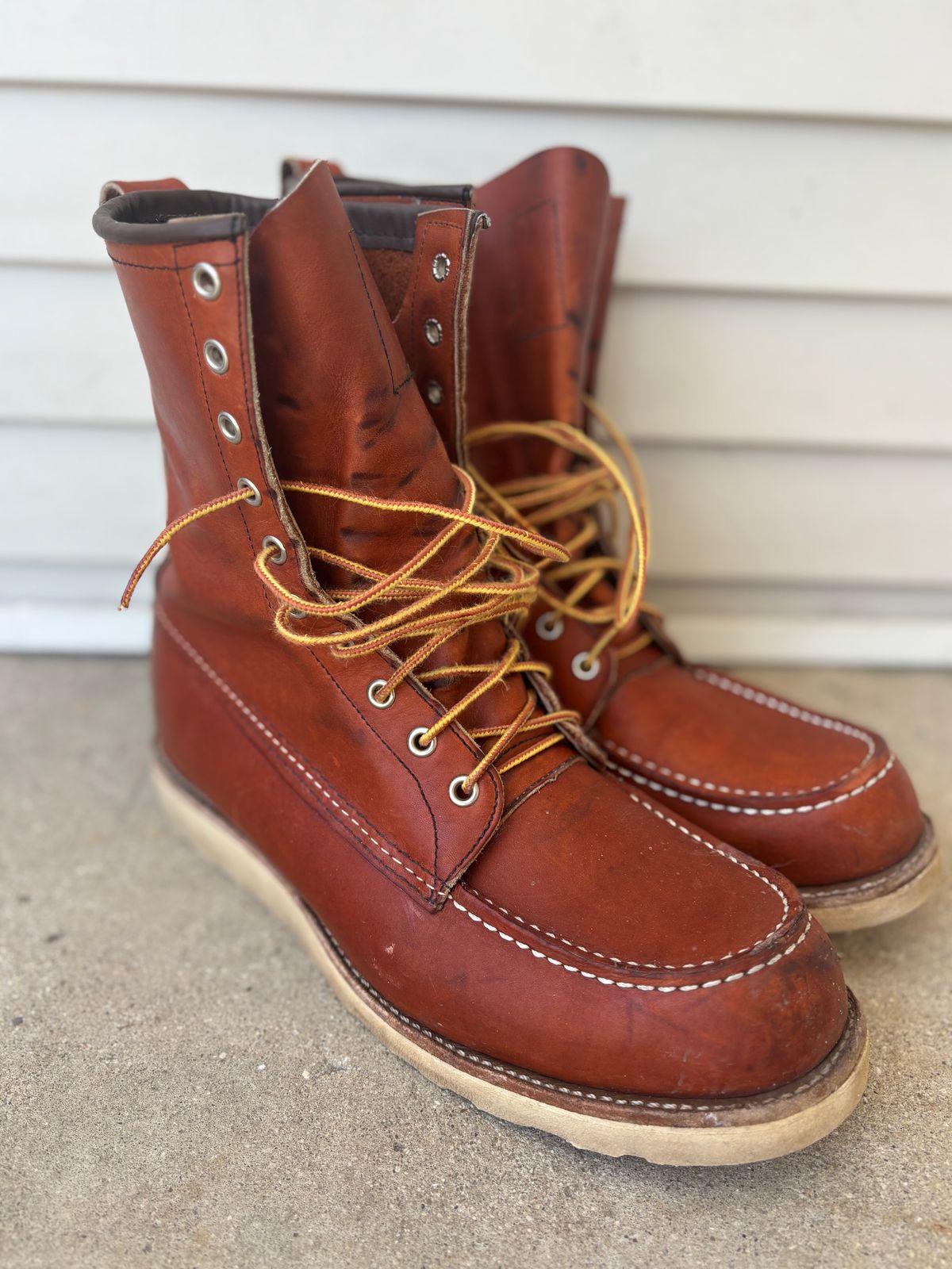 Photo by DiscoBiscuits on March 3, 2025 of the Red Wing 8-Inch Classic Moc in S.B. Foot Oro Legacy.
