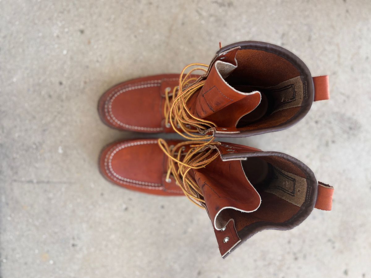 Photo by DiscoBiscuits on March 3, 2025 of the Red Wing 8-Inch Classic Moc in S.B. Foot Oro Legacy.