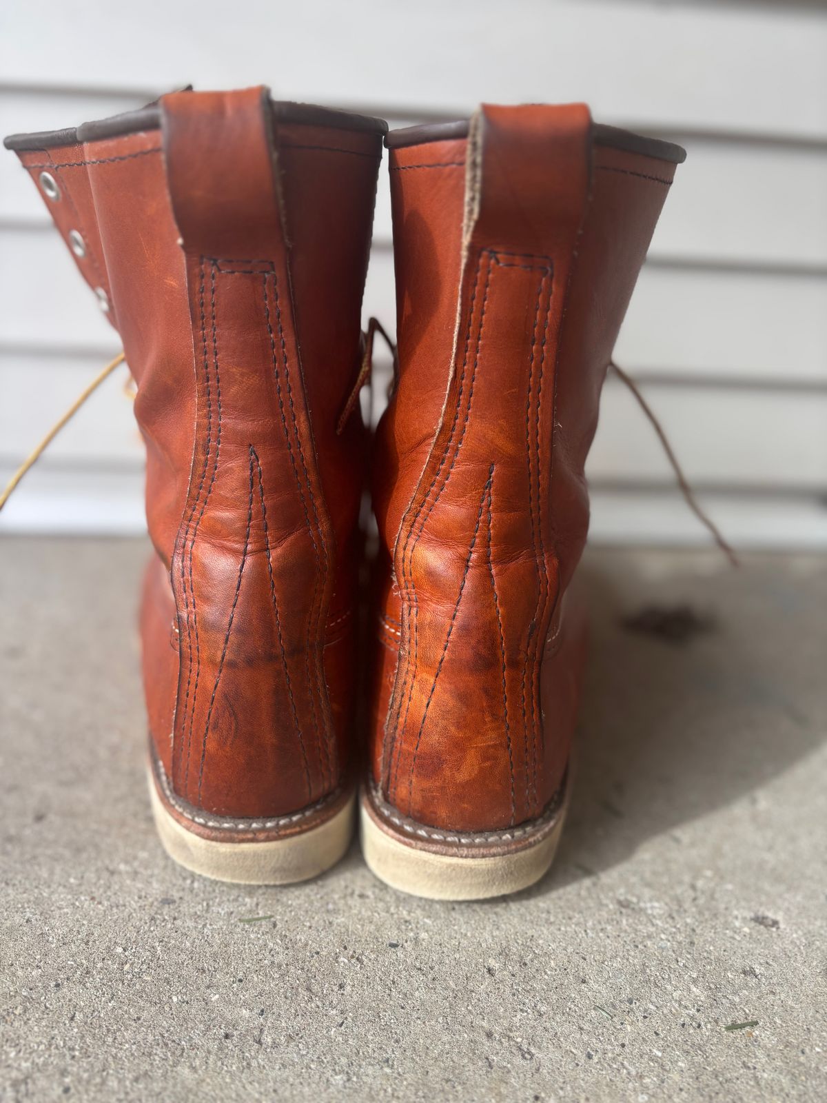 Photo by DiscoBiscuits on April 1, 2025 of the Red Wing 8-Inch Classic Moc in S.B. Foot Oro Legacy.