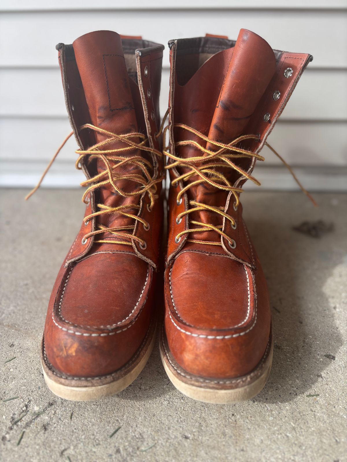 Photo by DiscoBiscuits on April 1, 2025 of the Red Wing 8-Inch Classic Moc in S.B. Foot Oro Legacy.