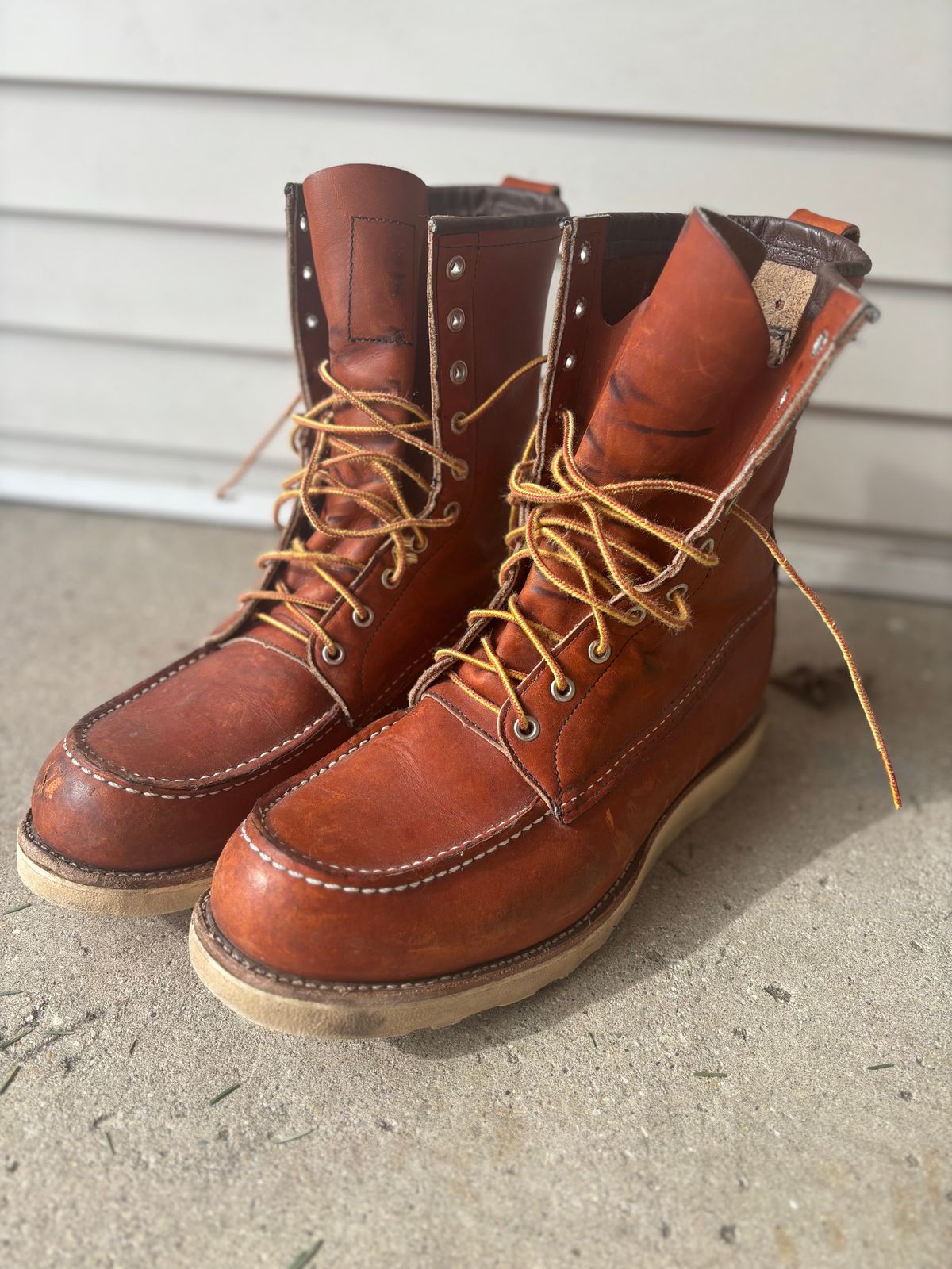 Photo by DiscoBiscuits on April 1, 2025 of the Red Wing 8-Inch Classic Moc in S.B. Foot Oro Legacy.