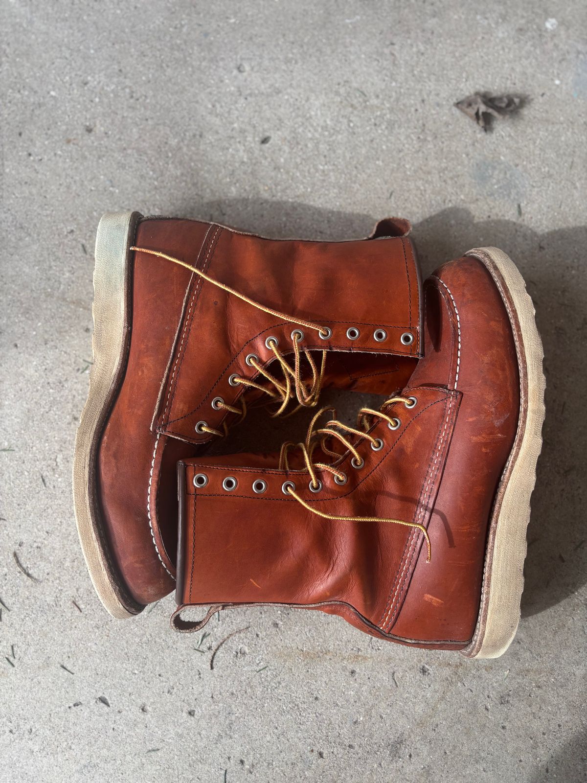 Photo by DiscoBiscuits on April 1, 2025 of the Red Wing 8-Inch Classic Moc in S.B. Foot Oro Legacy.
