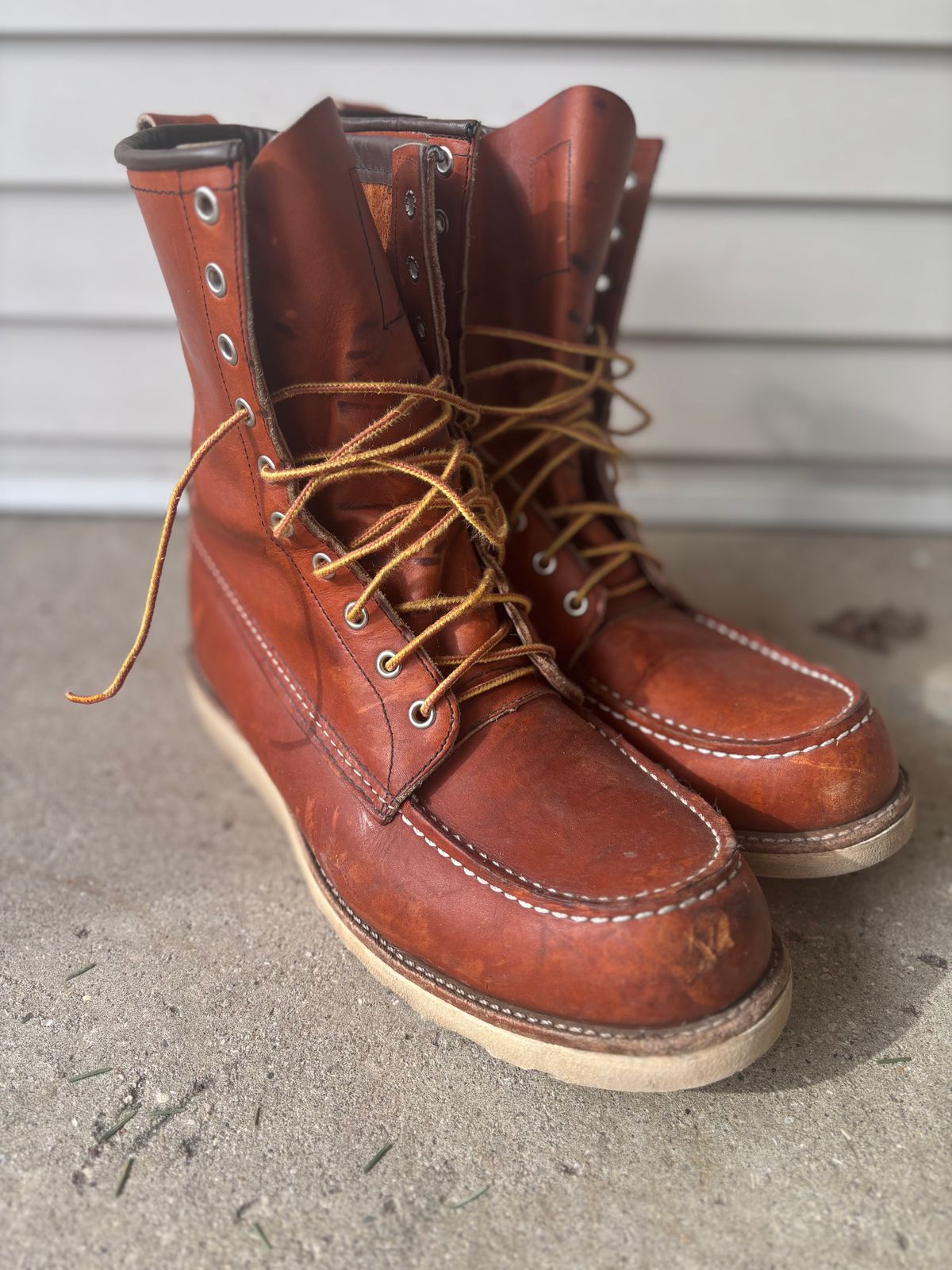 Photo by DiscoBiscuits on April 1, 2025 of the Red Wing 8-Inch Classic Moc in S.B. Foot Oro Legacy.