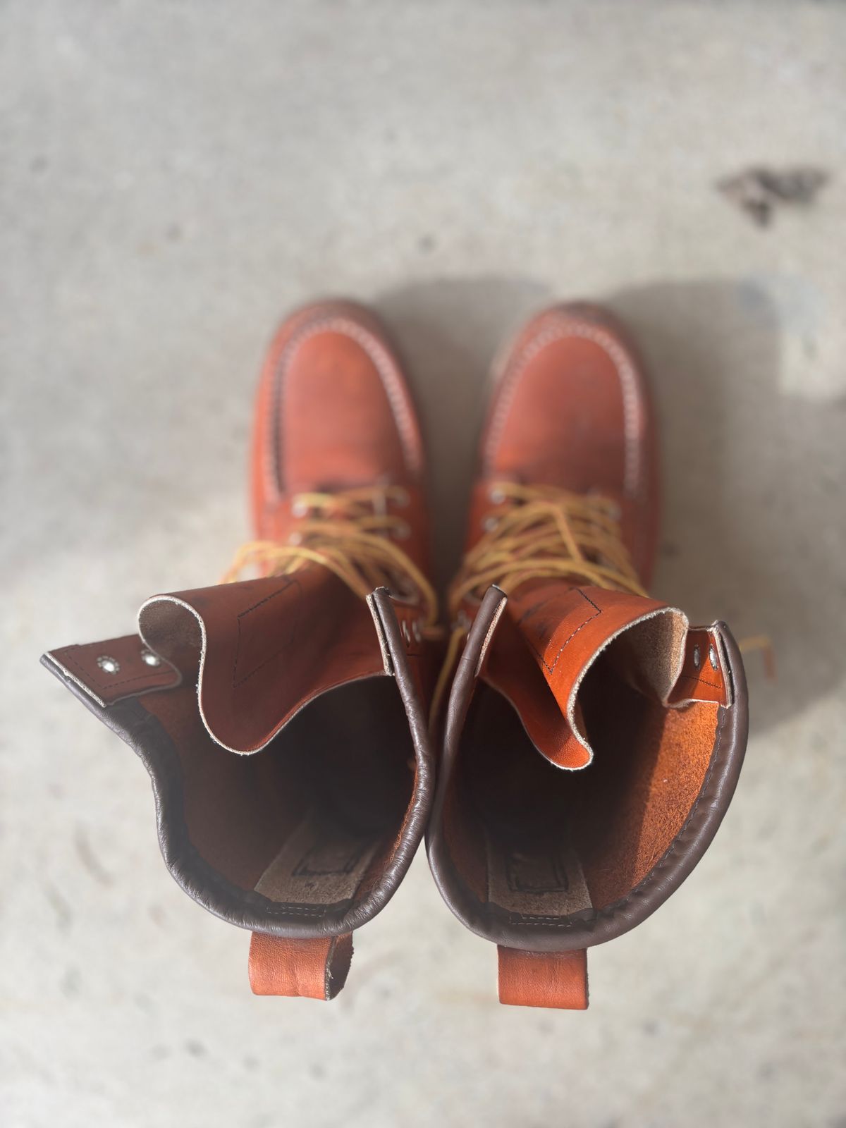 Photo by DiscoBiscuits on April 1, 2025 of the Red Wing 8-Inch Classic Moc in S.B. Foot Oro Legacy.