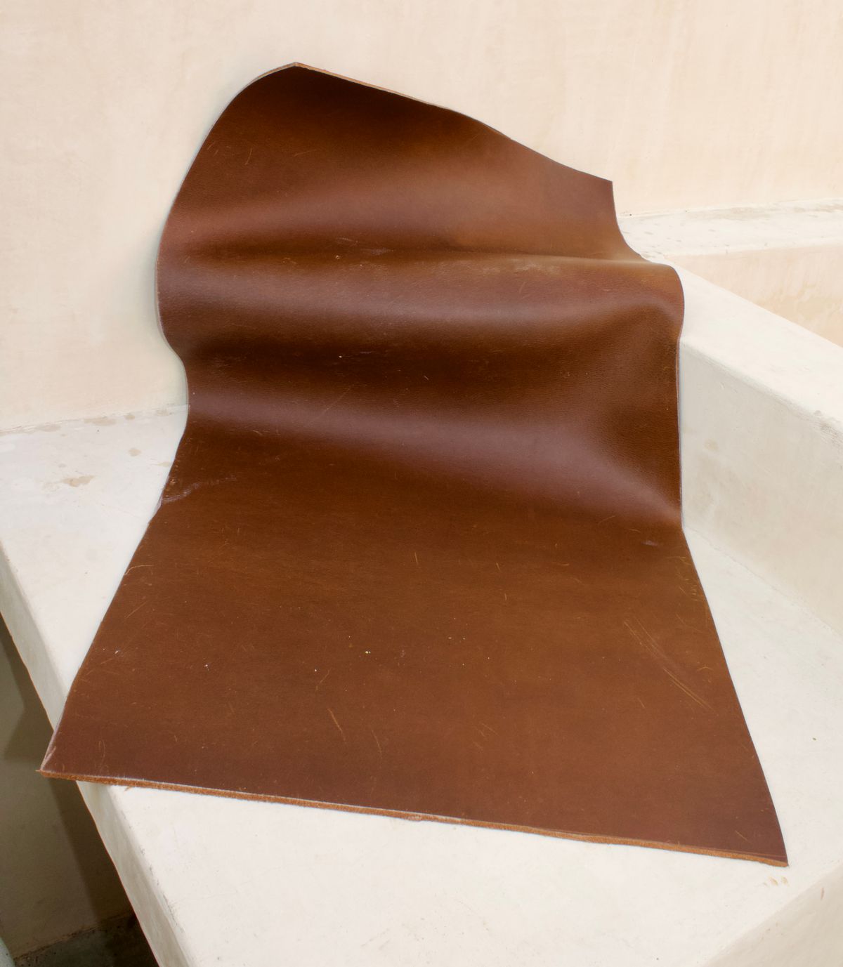 Photo by TangibleLily929 on January 2, 2026 of the Lefarc Tannery EAGLE in buffalo leather Crome And Wax Tanned.