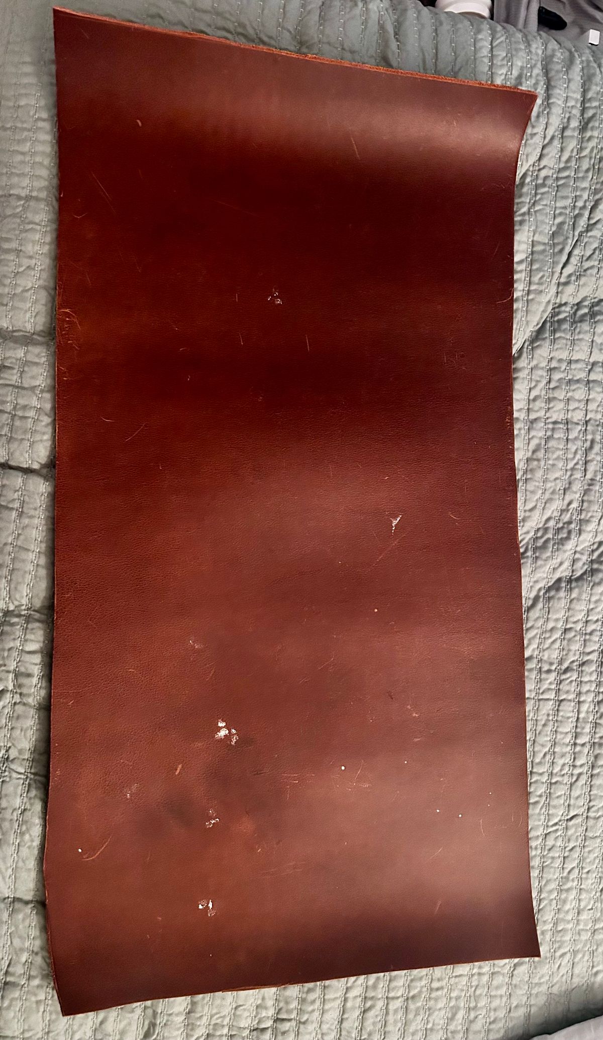 Photo by TangibleLily929 on March 6, 2026 of the Lefarc Tannery EAGLE in buffalo leather Crome And Wax Tanned.