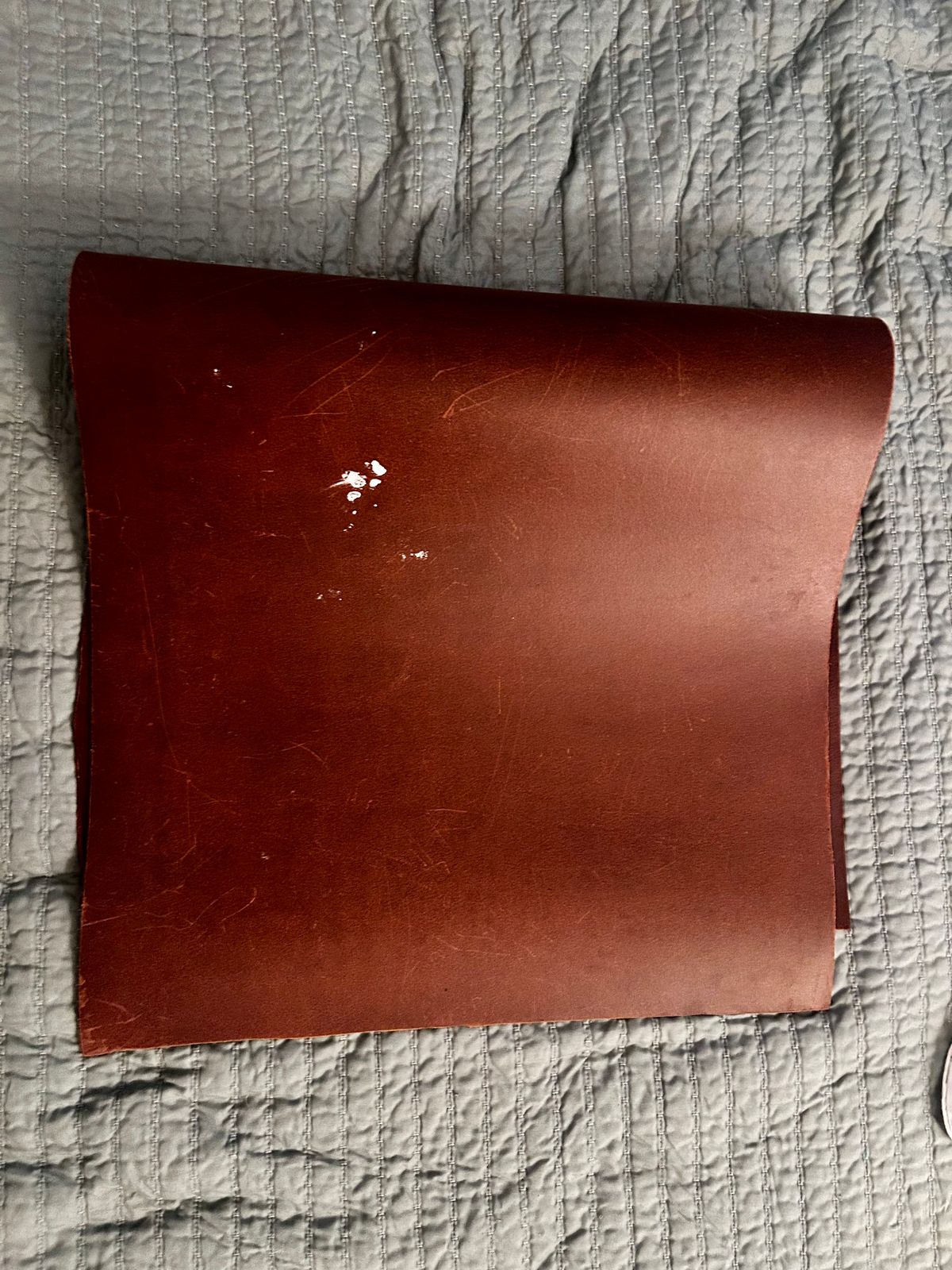 Photo by TangibleLily929 on March 6, 2026 of the Lefarc Tannery EAGLE in buffalo leather Crome And Wax Tanned.