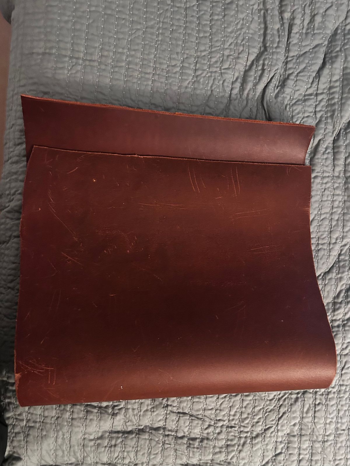 Photo by TangibleLily929 on March 6, 2026 of the Lefarc Tannery EAGLE in buffalo leather Crome And Wax Tanned.