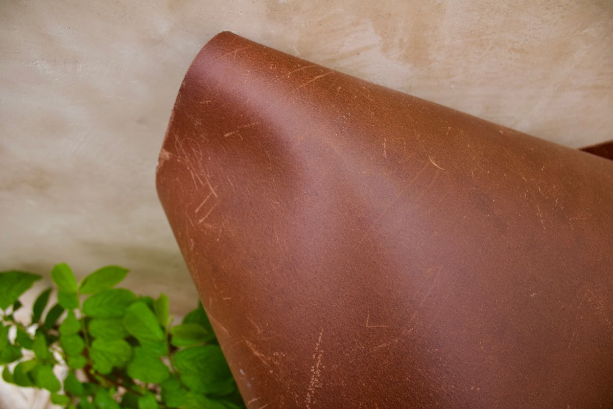 Photo by TangibleLily929 on April 2, 2026 of the Lefarc Tannery EAGLE in buffalo leather Crome And Wax Tanned.