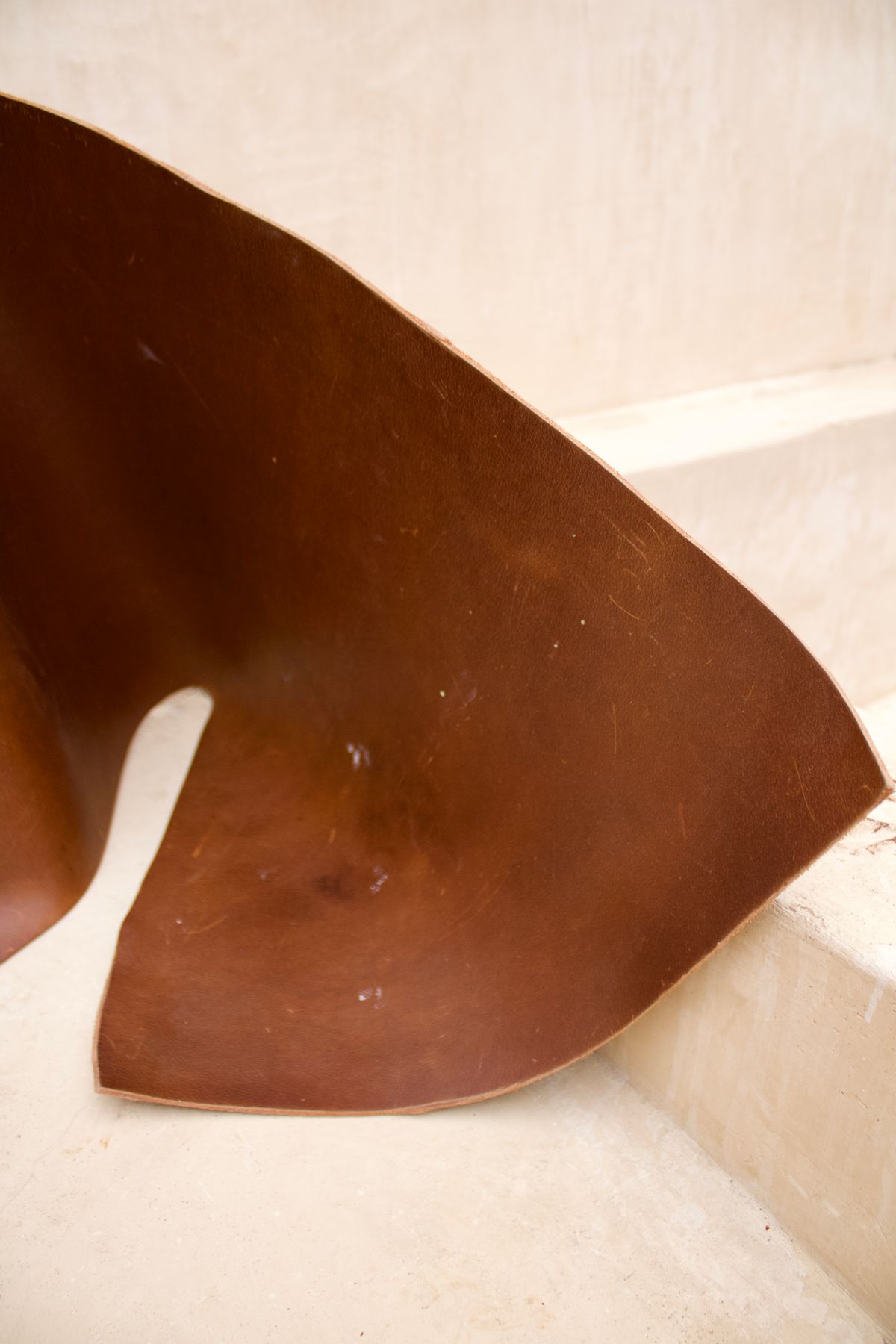 Photo by TangibleLily929 on April 2, 2026 of the Lefarc Tannery EAGLE in buffalo leather Crome And Wax Tanned.