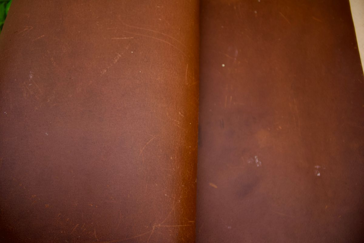 Photo by TangibleLily929 on April 2, 2026 of the Lefarc Tannery EAGLE in buffalo leather Crome And Wax Tanned.