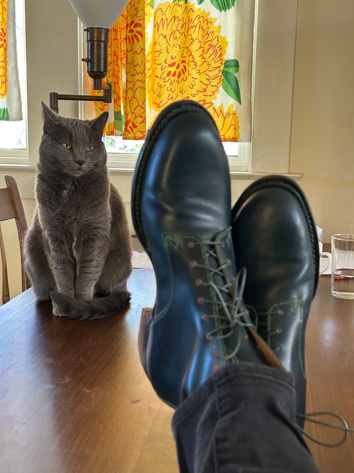 Photo by gittyduncan on November 7, 2023 of the Gitty Duncan Dance boot 001 in MPG Apollo Mediterranean Blue.