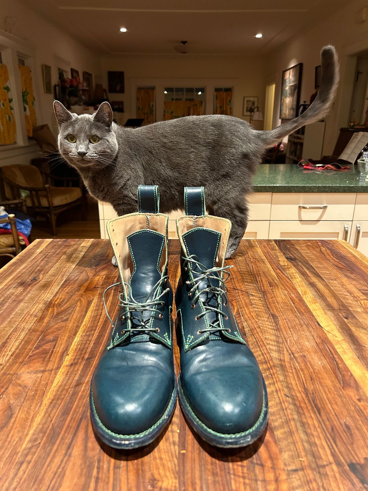 Photo by gittyduncan on December 4, 2023 of the Gitty Duncan Dance boot 001 in MPG Apollo Mediterranean Blue.