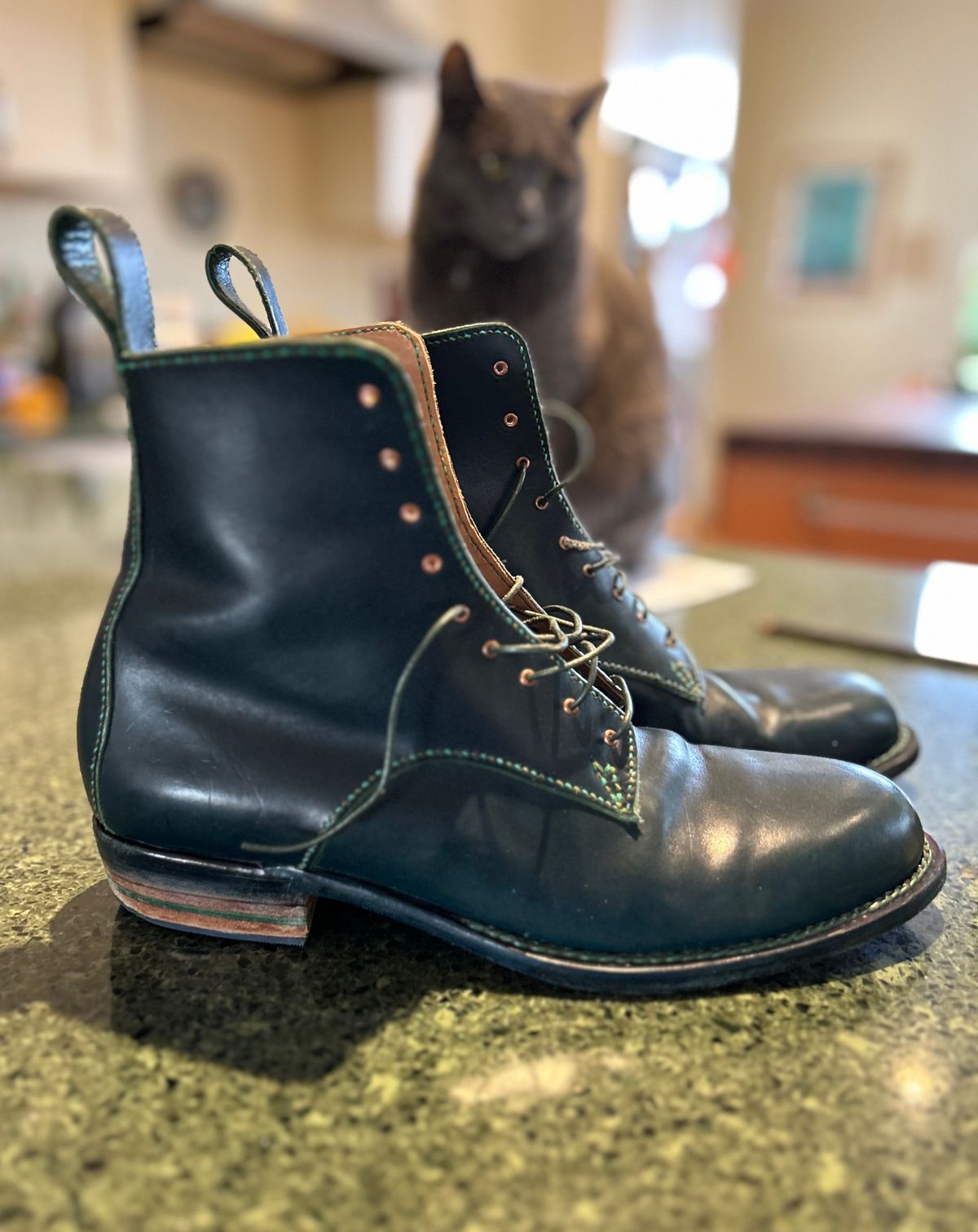 Photo by gittyduncan on December 5, 2023 of the Gitty Duncan Dance boot 001 in MPG Apollo Mediterranean Blue.