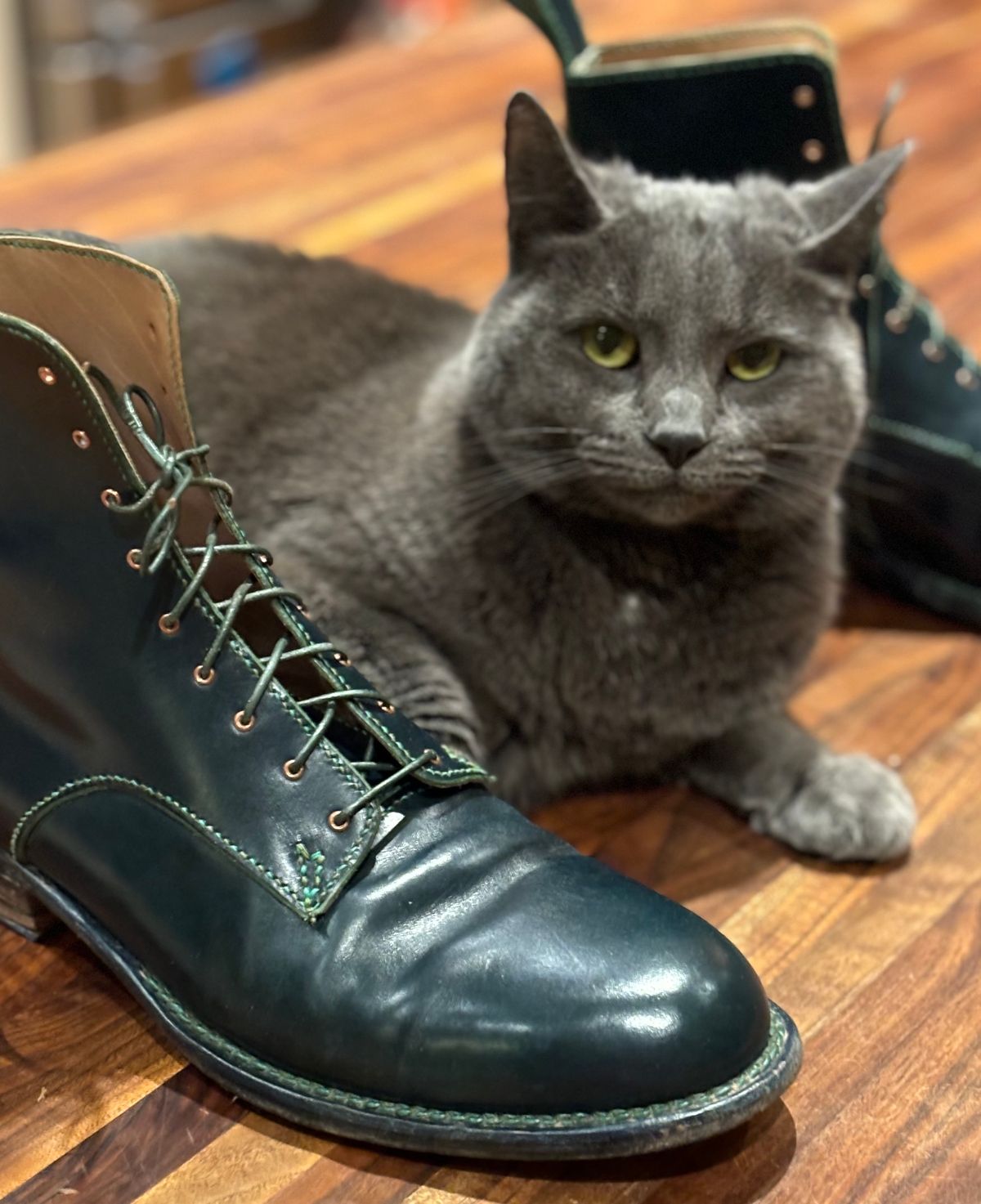 Photo by gittyduncan on January 3, 2024 of the Gitty Duncan Dance boot 001 in MPG Apollo Mediterranean Blue.