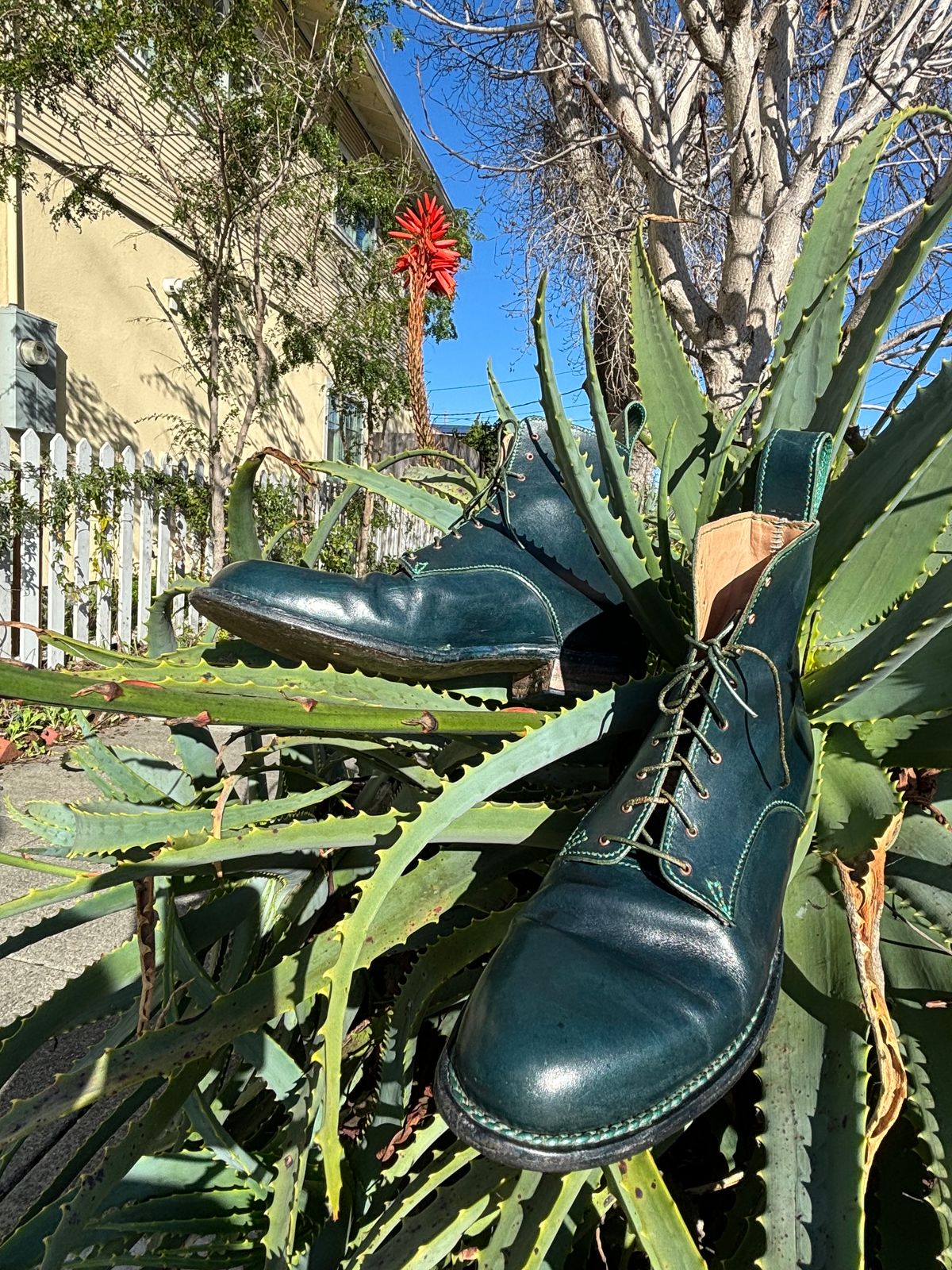 Photo by gittyduncan on February 6, 2024 of the Gitty Duncan Dance boot 001 in MPG Apollo Mediterranean Blue.