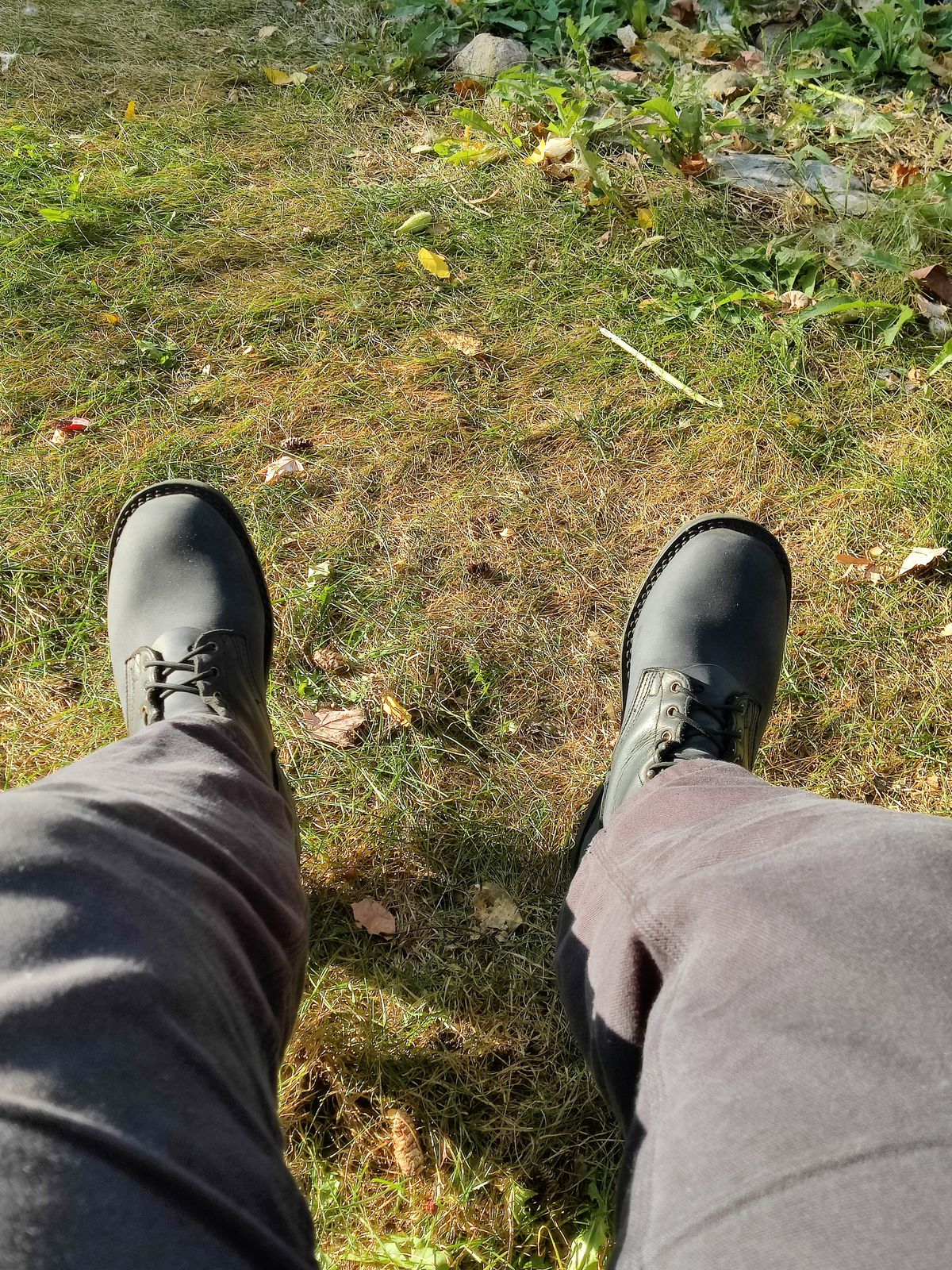 Photo by WhileyRasqual on October 14, 2024 of the Nicks Tactical in Seidel WeatherShield Black.