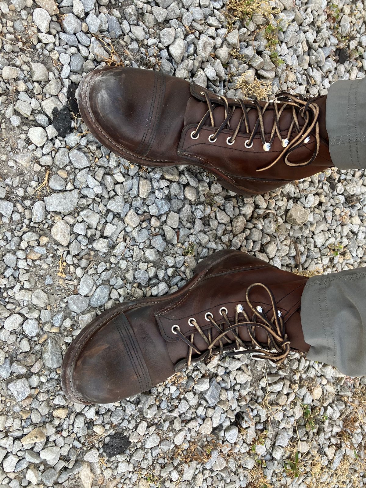 Photo by Triumph865 on June 22, 2022 of the Red Wing Iron Ranger in S.B. Foot Amber Harness.