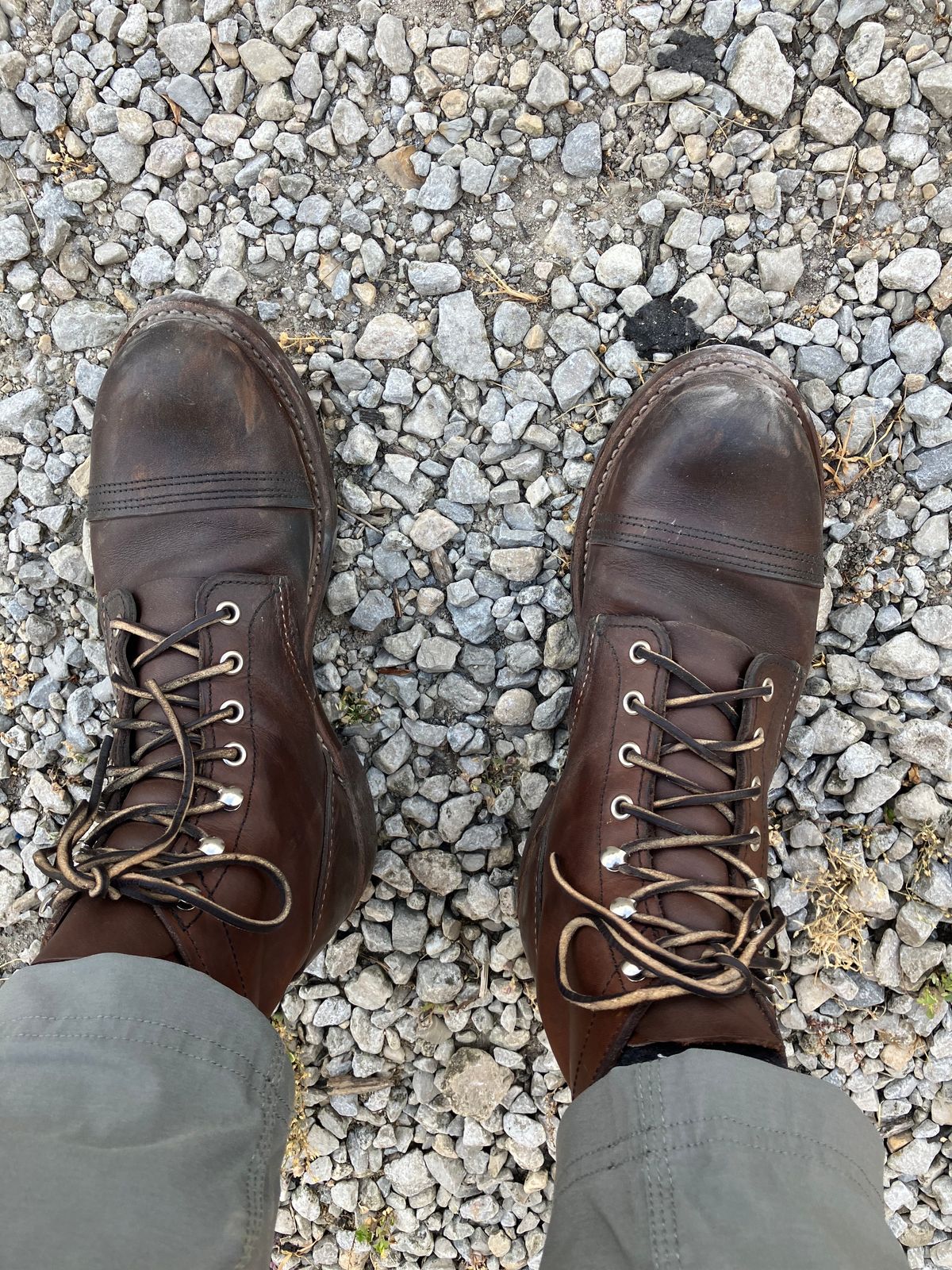 Photo by Triumph865 on June 22, 2022 of the Red Wing Iron Ranger in S.B. Foot Amber Harness.