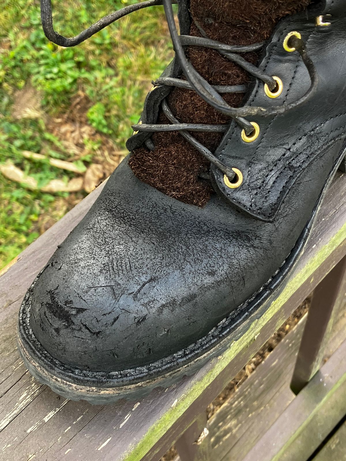 Photo by Triumph865 on August 29, 2024 of the Frank's Boots The Patriot in Seidel Black Oil Tan.