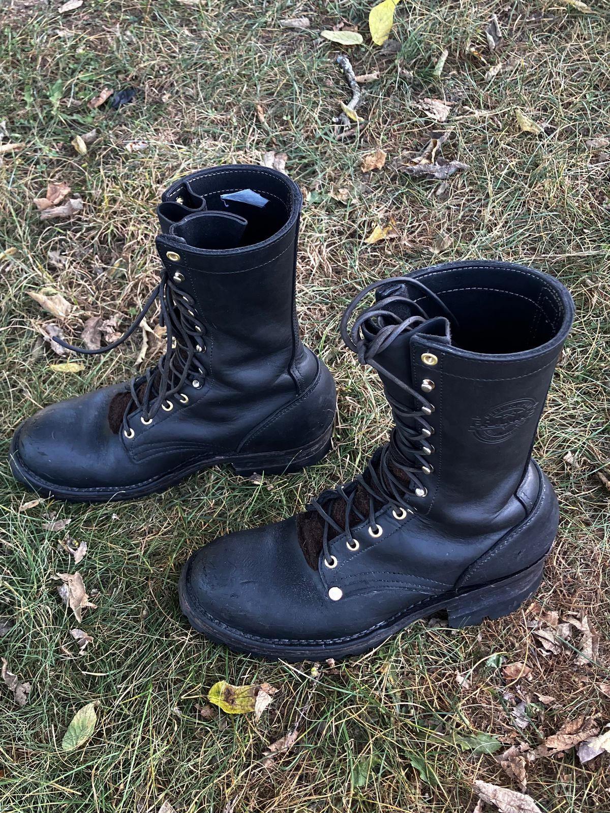 Photo by Triumph865 on September 4, 2024 of the Frank's Boots The Patriot in Seidel Black Oil Tan.