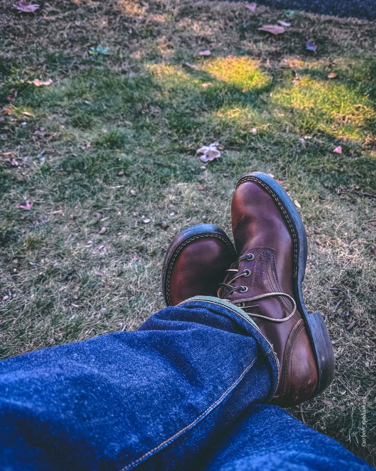 Photo by urban_spelunking on October 27, 2024 of the Nicks Custom Model in Italian Brown Cypress.