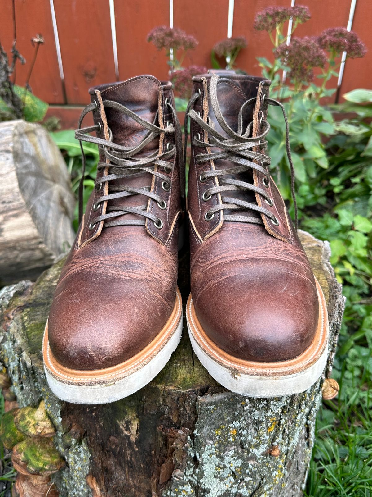 Photo by pesayerm on November 5, 2023 of the Viberg Scout Boot in Horween Rowdy Dachshund.