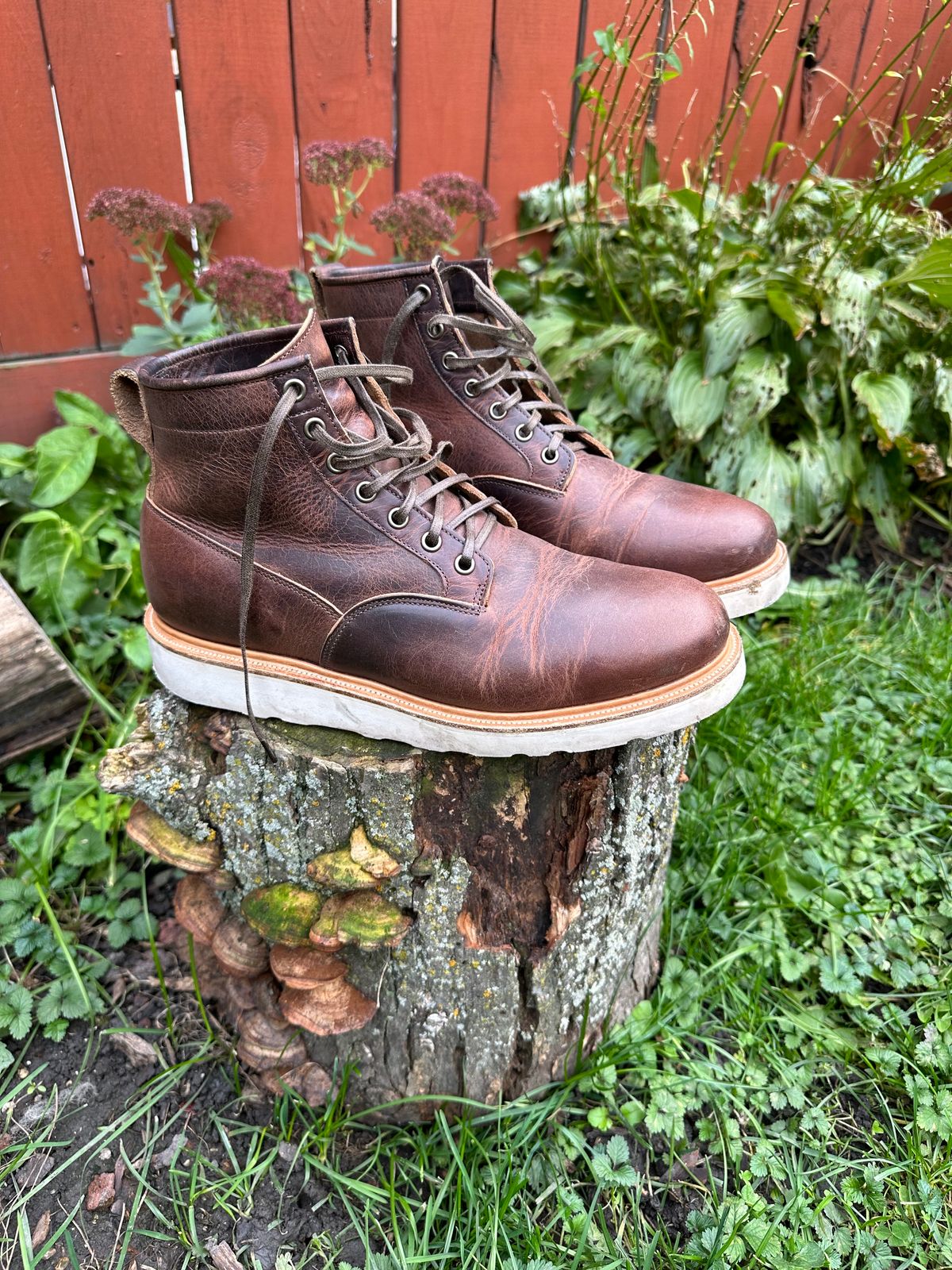 Photo by pesayerm on November 5, 2023 of the Viberg Scout Boot in Horween Rowdy Dachshund.