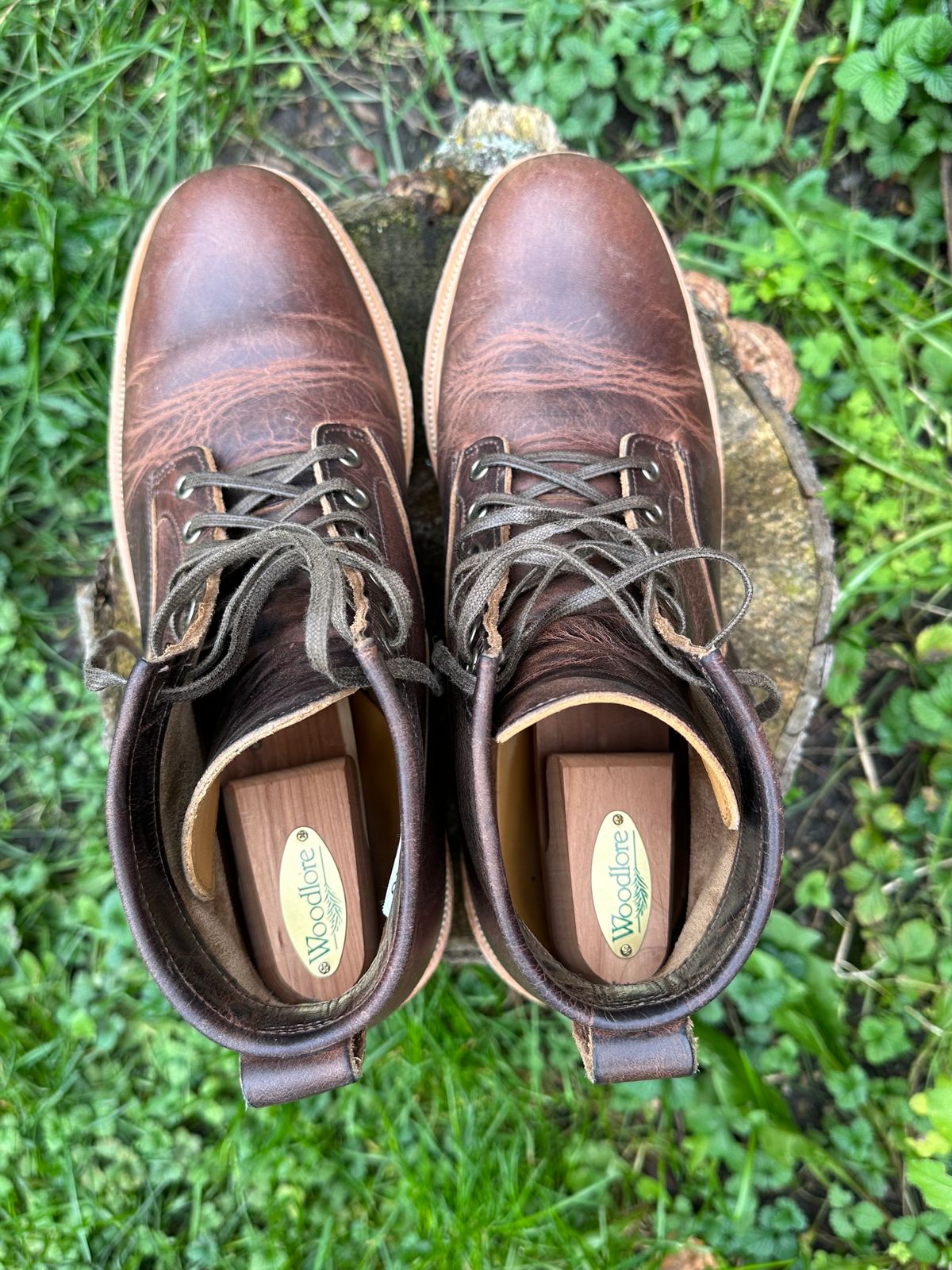 Photo by pesayerm on November 5, 2023 of the Viberg Scout Boot in Horween Rowdy Dachshund.