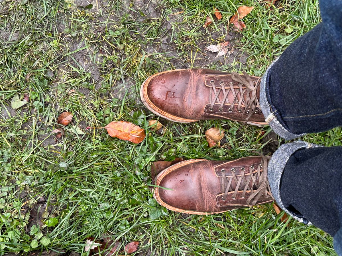 Photo by pesayerm on December 5, 2023 of the Viberg Scout Boot in Horween Rowdy Dachshund.