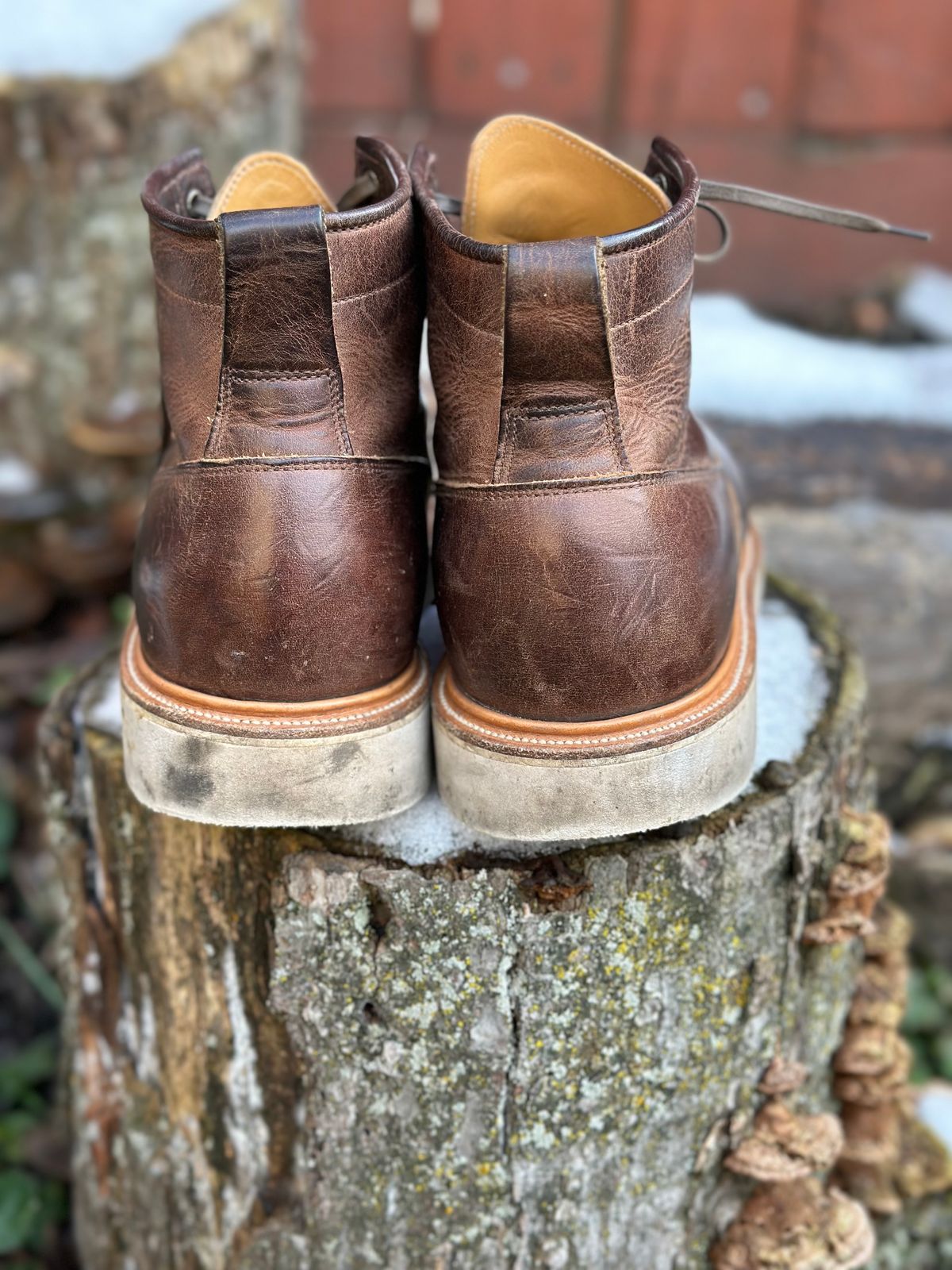 Photo by pesayerm on January 2, 2024 of the Viberg Scout Boot in Horween Rowdy Dachshund.