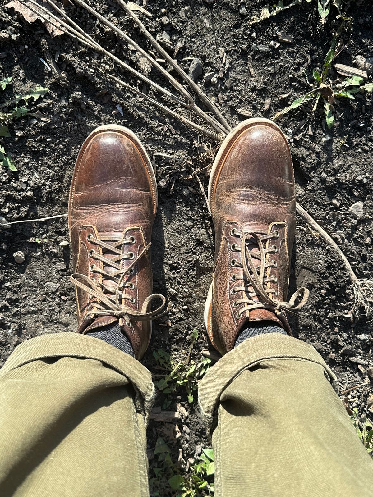 Photo by pesayerm on March 3, 2024 of the Viberg Scout Boot in Horween Rowdy Dachshund.