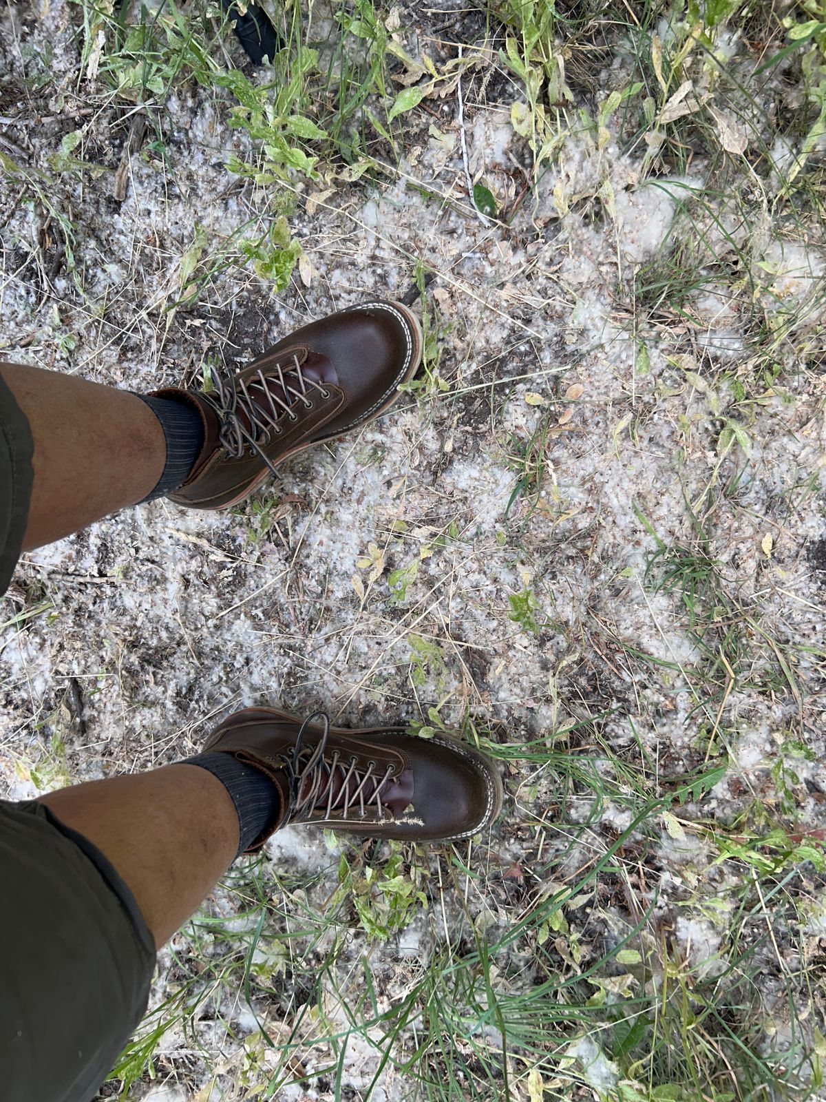 Photo by killerbootsman on July 13, 2024 of the Frank's Boots Rainier in Horween Cinnamon Waxed Flesh.