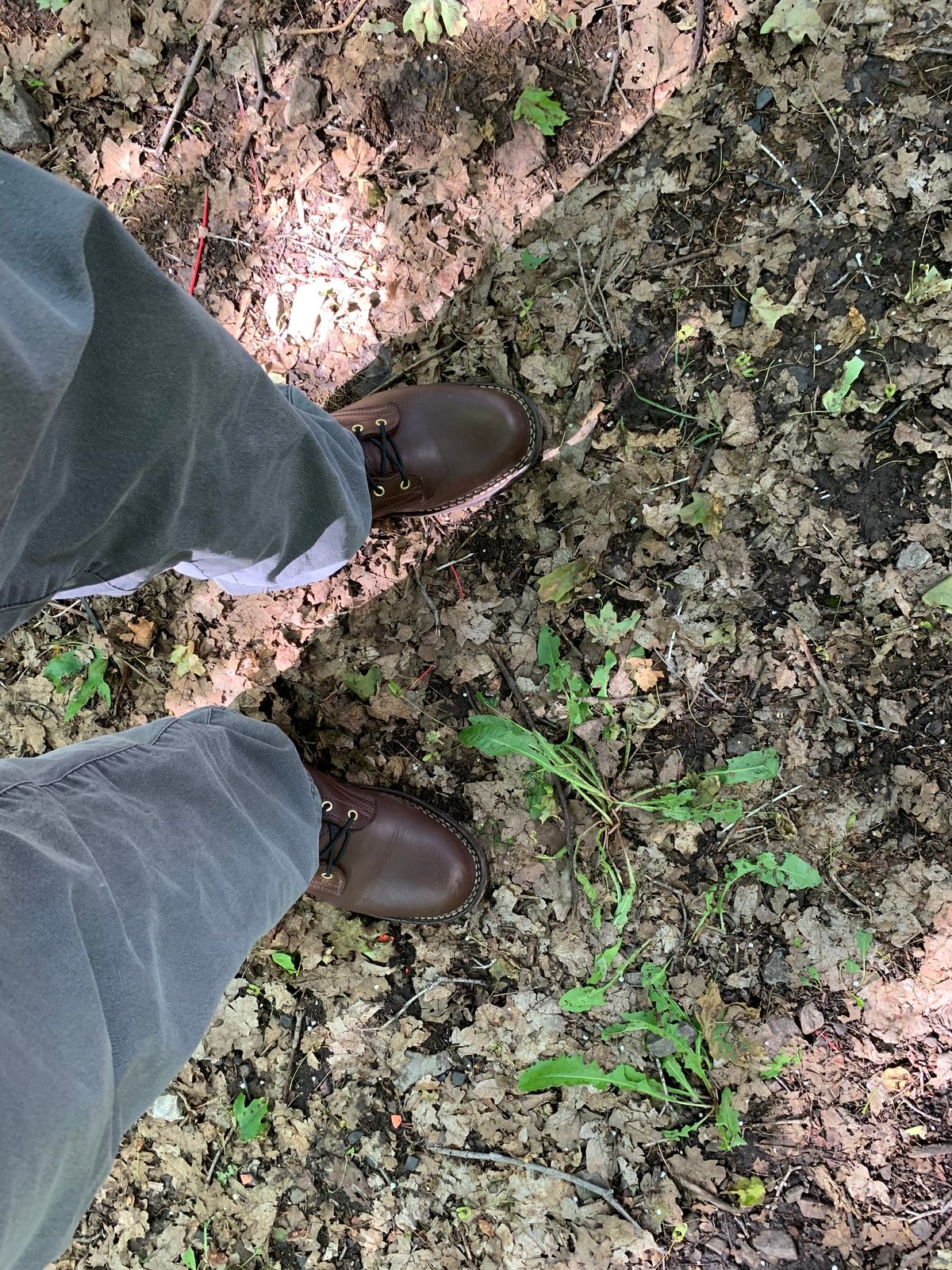 Photo by killerbootsman on June 16, 2023 of the Frank's Boots Front Range in Seidel Walnut Oil Tan.