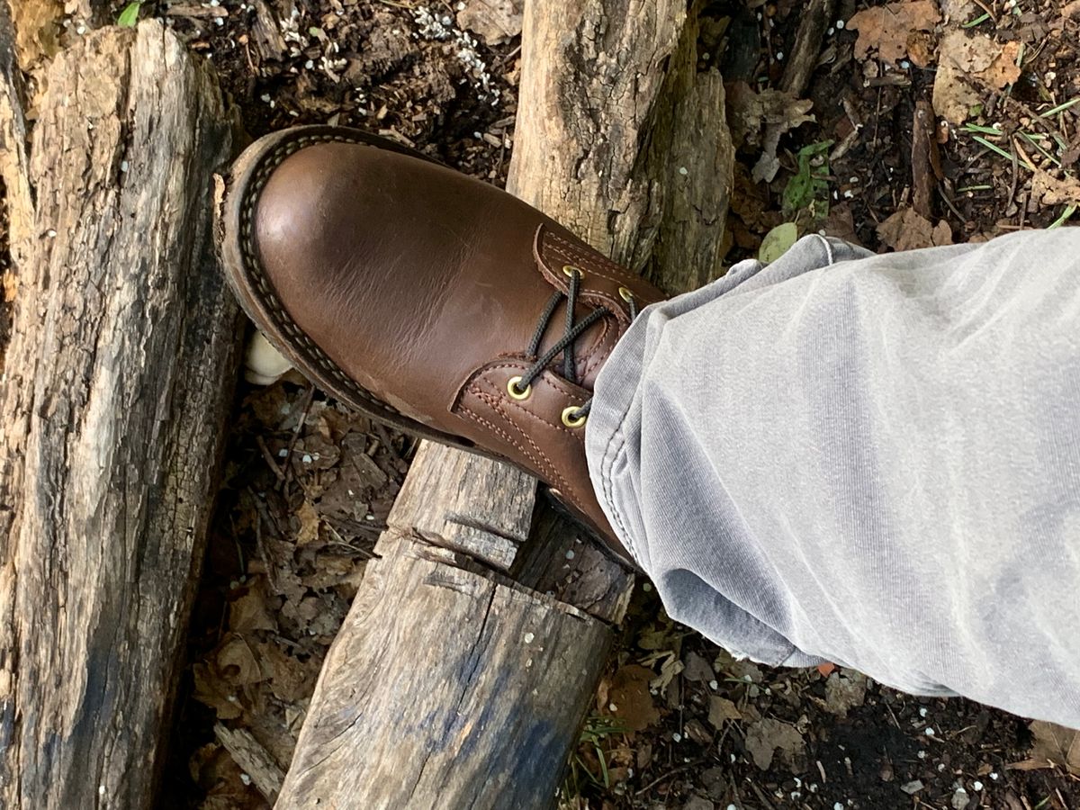 Photo by killerbootsman on June 16, 2023 of the Frank's Boots Front Range in Seidel Walnut Oil Tan.