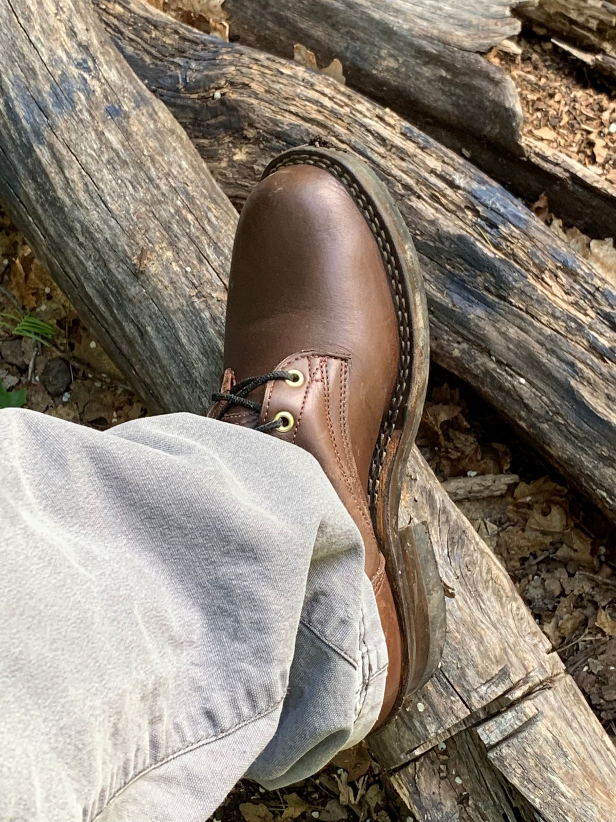 Photo by killerbootsman on June 16, 2023 of the Frank's Boots Front Range in Seidel Walnut Oil Tan.