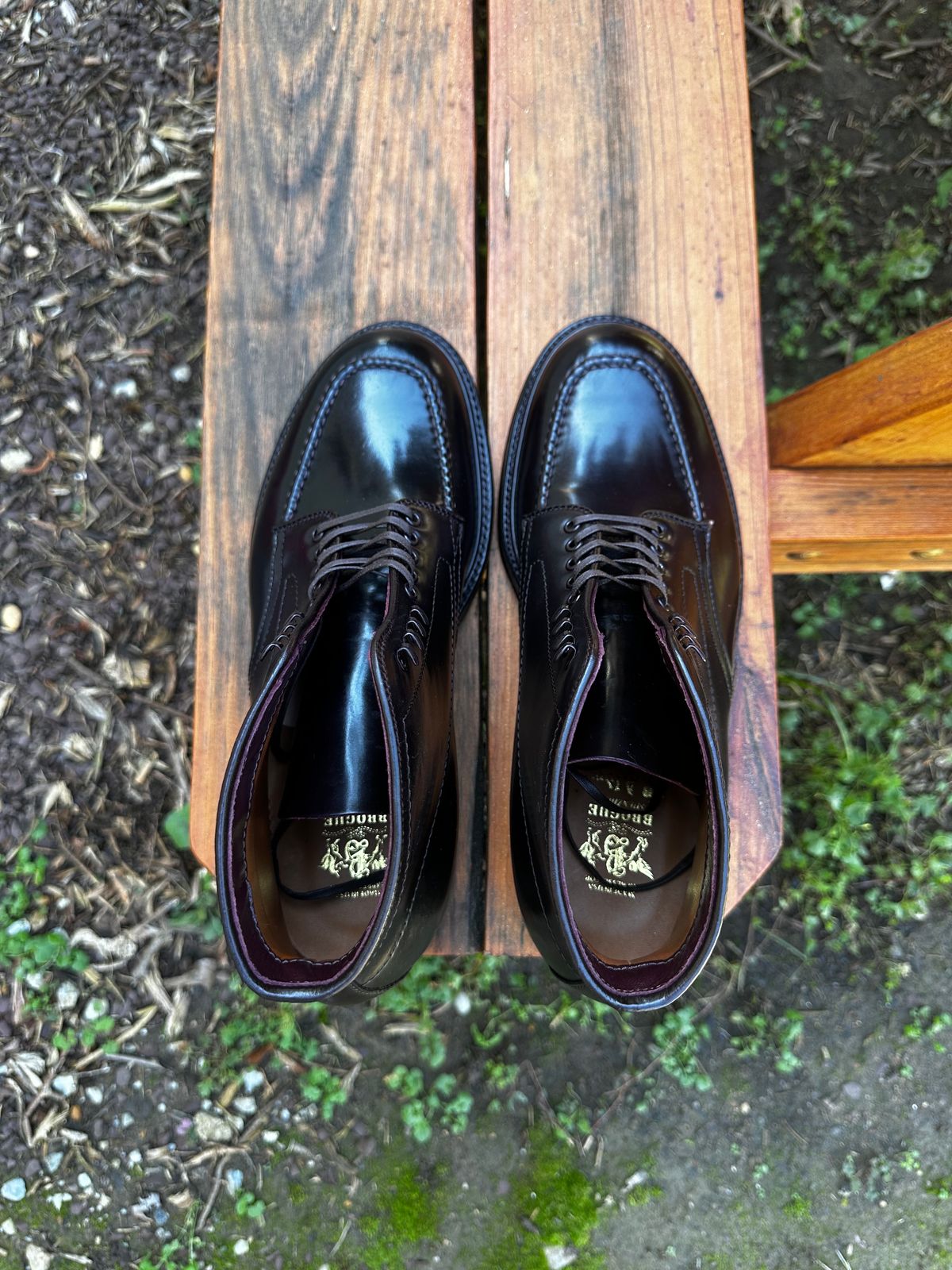 Photo by 8loop on October 3, 2023 of the Alden Indy Boot in Horween Color 8 Shell Cordovan.