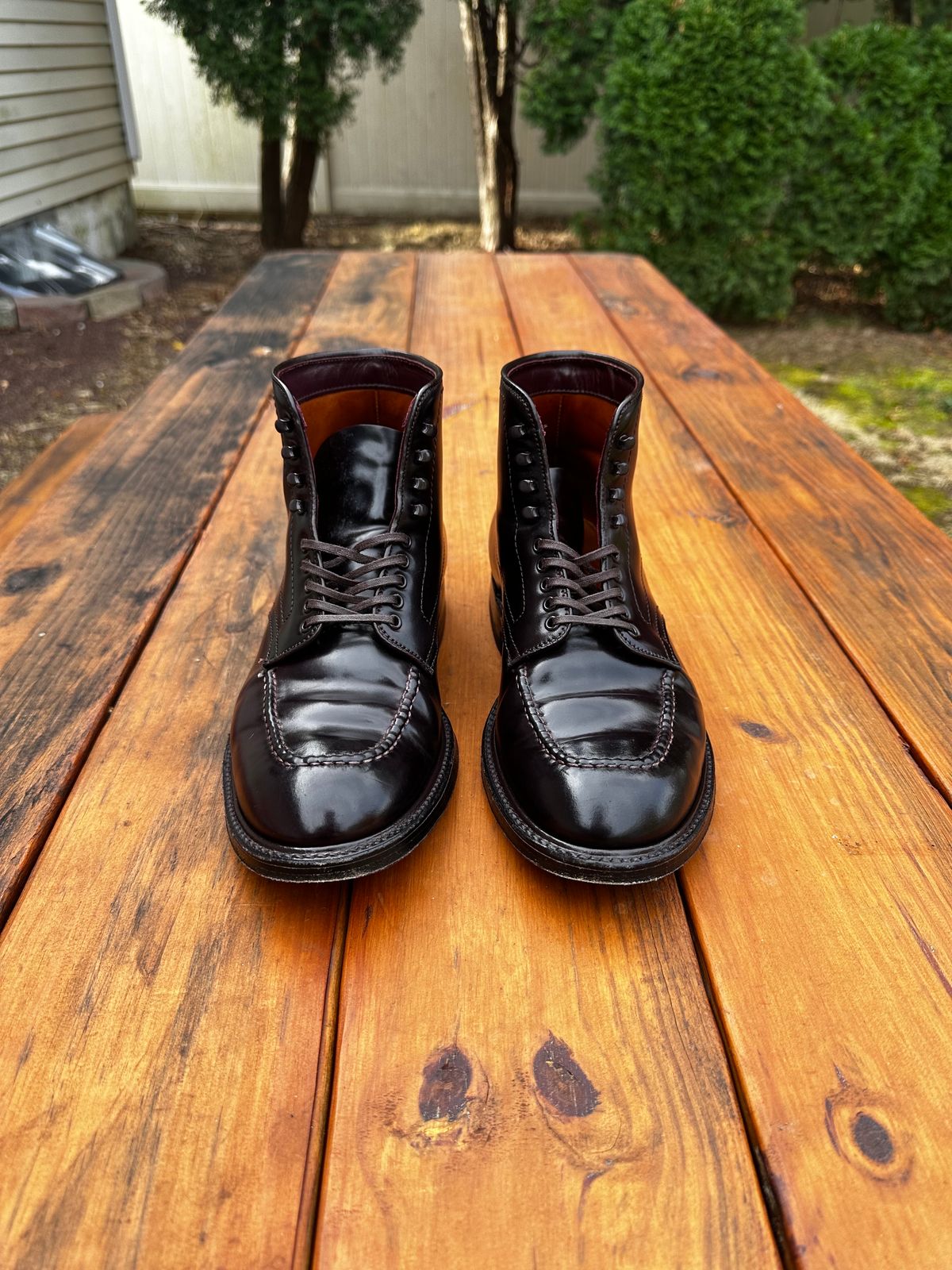 Photo by 8loop on November 4, 2023 of the Alden Indy Boot in Horween Color 8 Shell Cordovan.