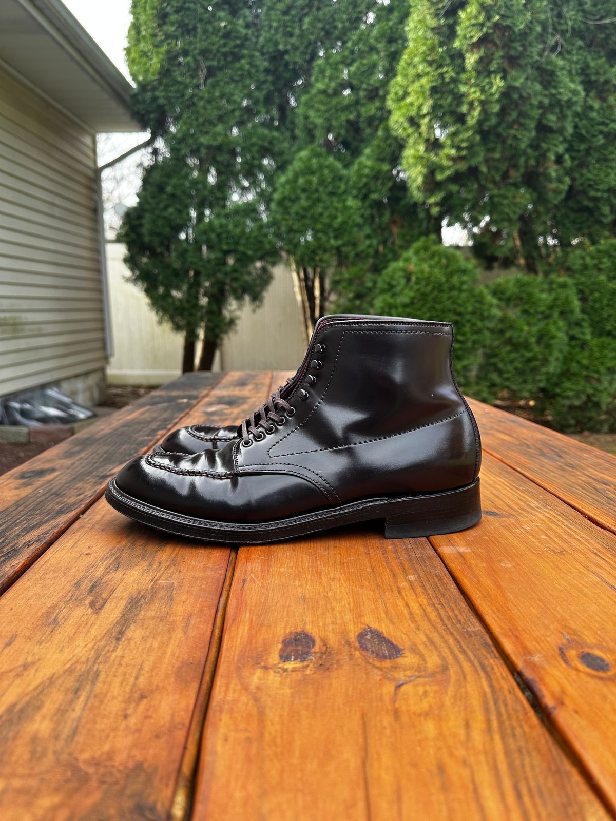 Photo by 8loop on November 4, 2023 of the Alden Indy Boot in Horween Color 8 Shell Cordovan.
