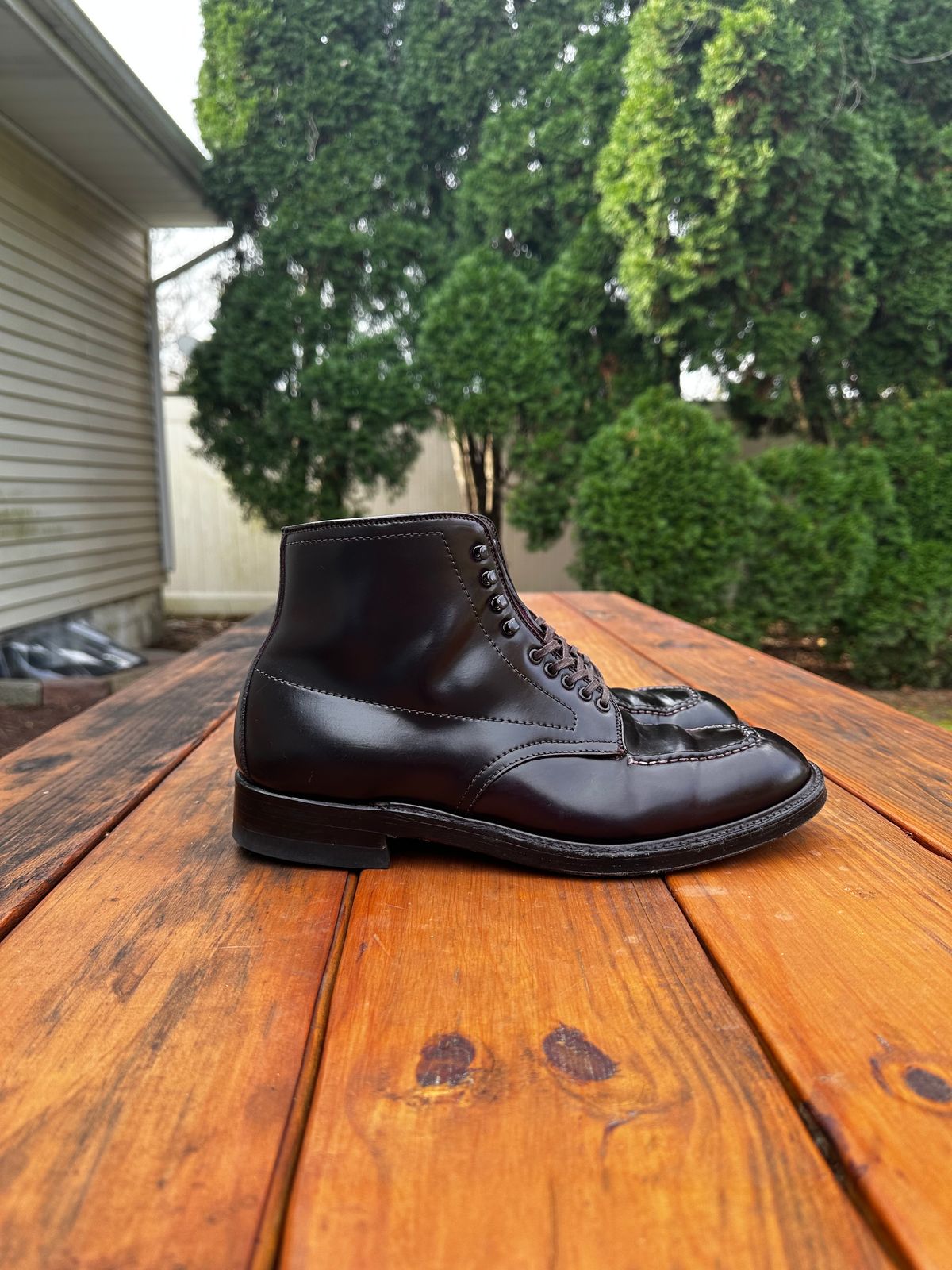 Photo by 8loop on November 4, 2023 of the Alden Indy Boot in Horween Color 8 Shell Cordovan.