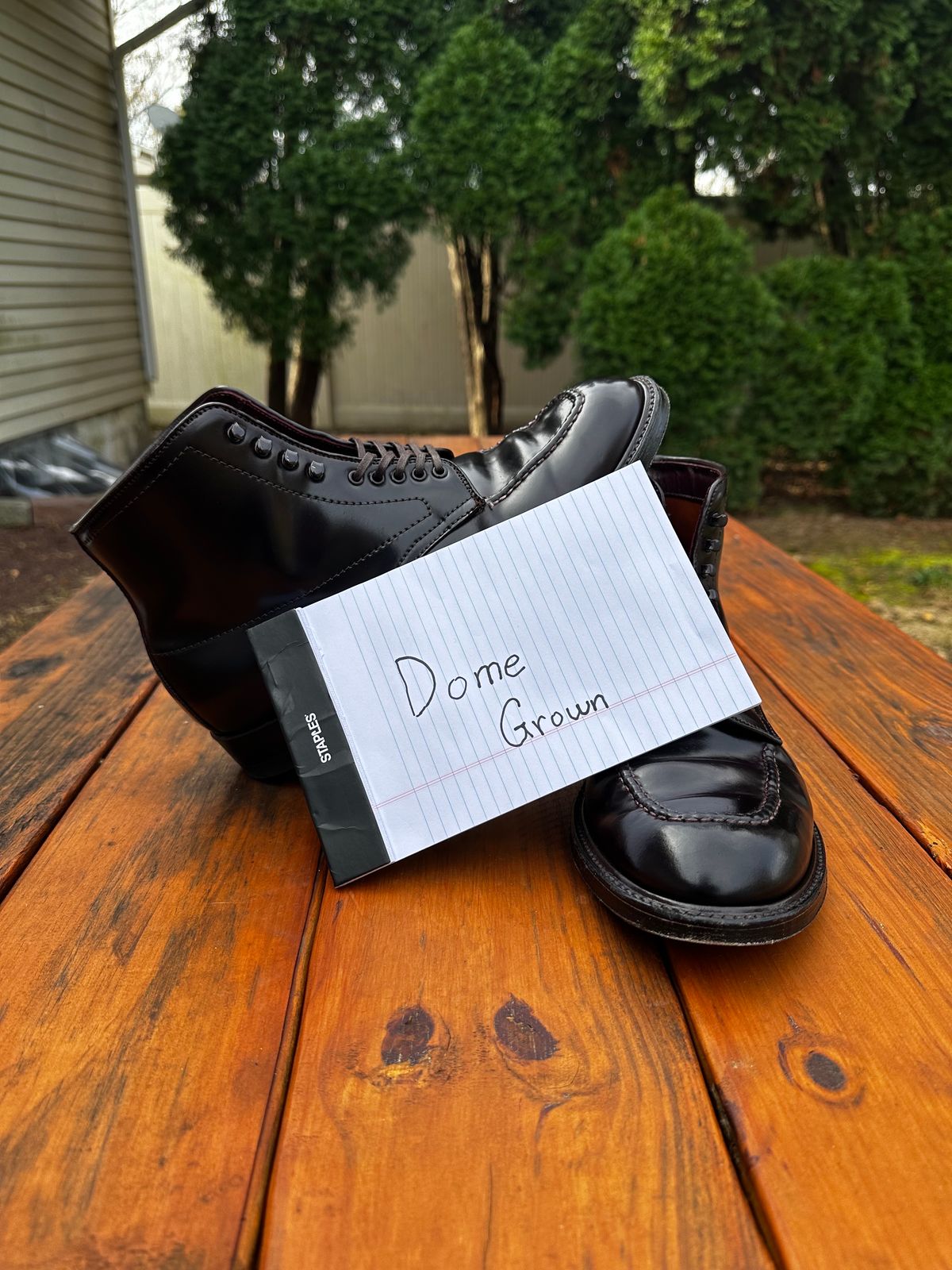 Photo by 8loop on November 4, 2023 of the Alden Indy Boot in Horween Color 8 Shell Cordovan.